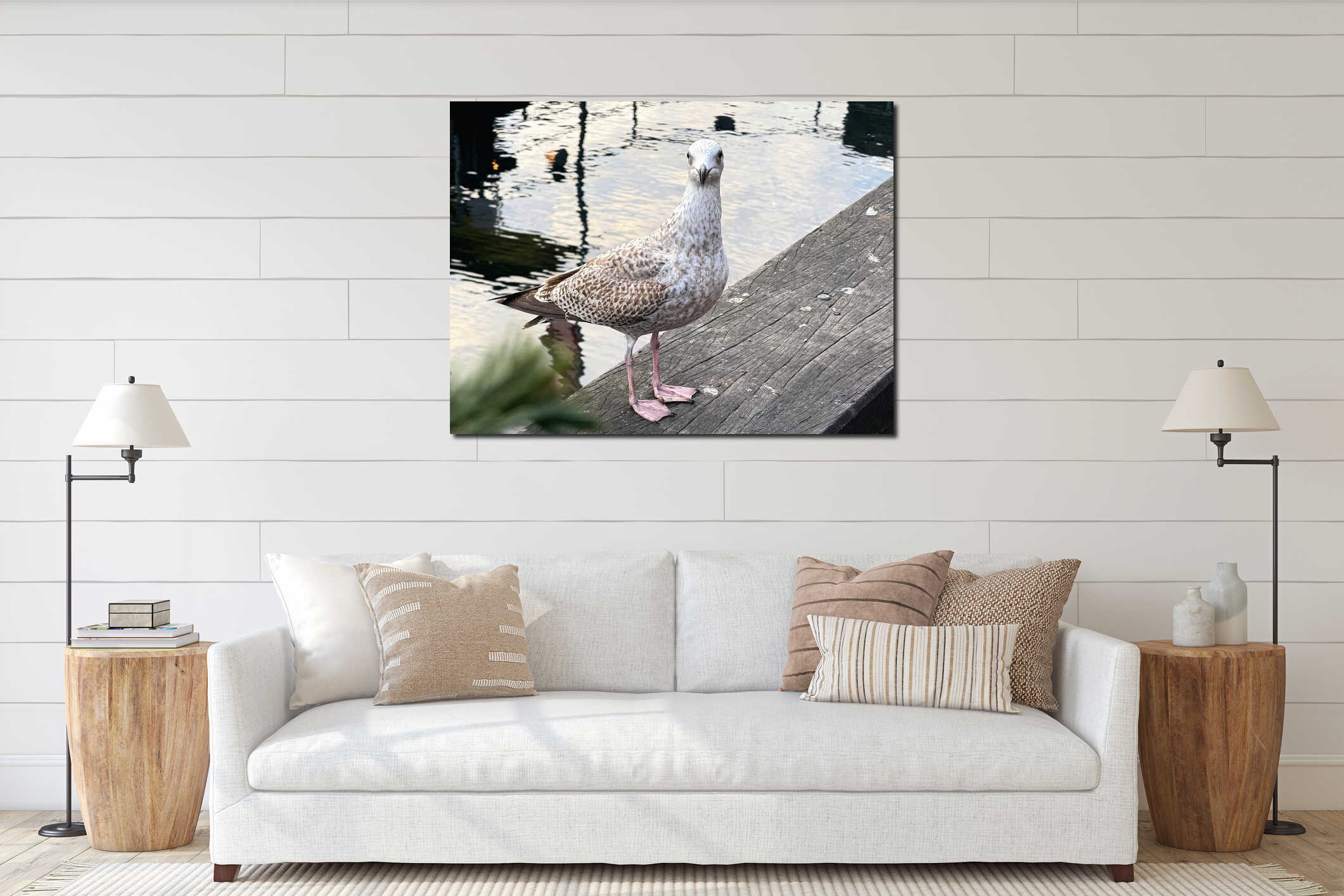 Seagull standing on wooden pier near water. interior mockup