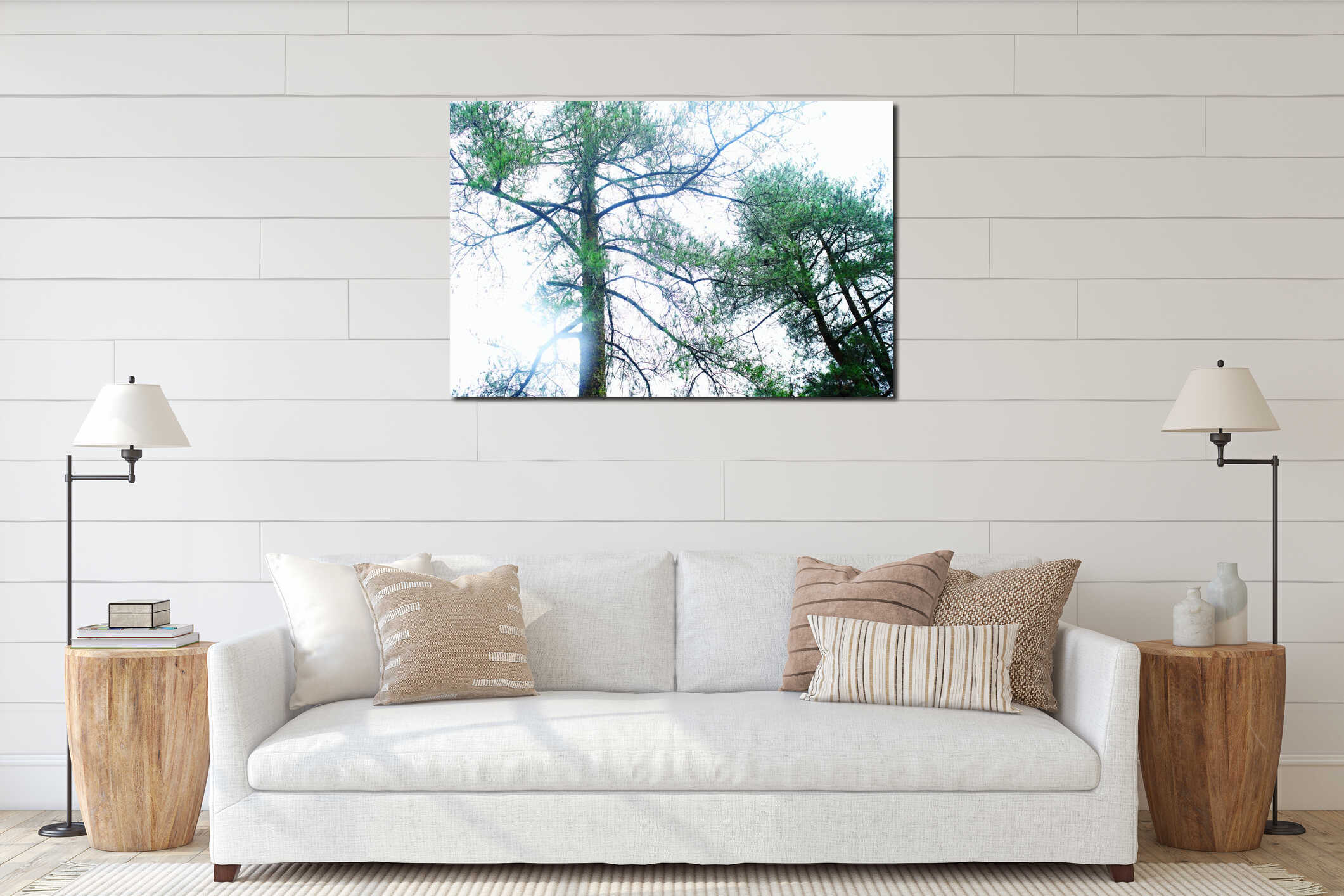 Dense Misty Pine Forest Canopy Under Bright Morning Sky interior mockup