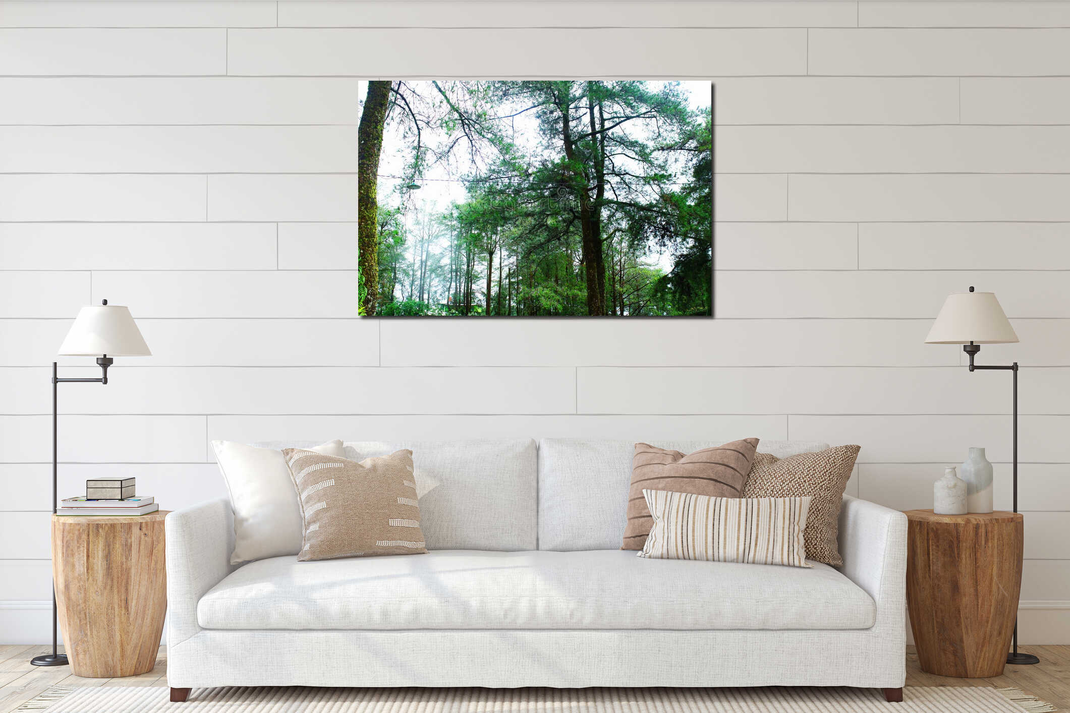 Dense Misty Pine Forest Canopy Under Bright Morning Sky interior mockup
