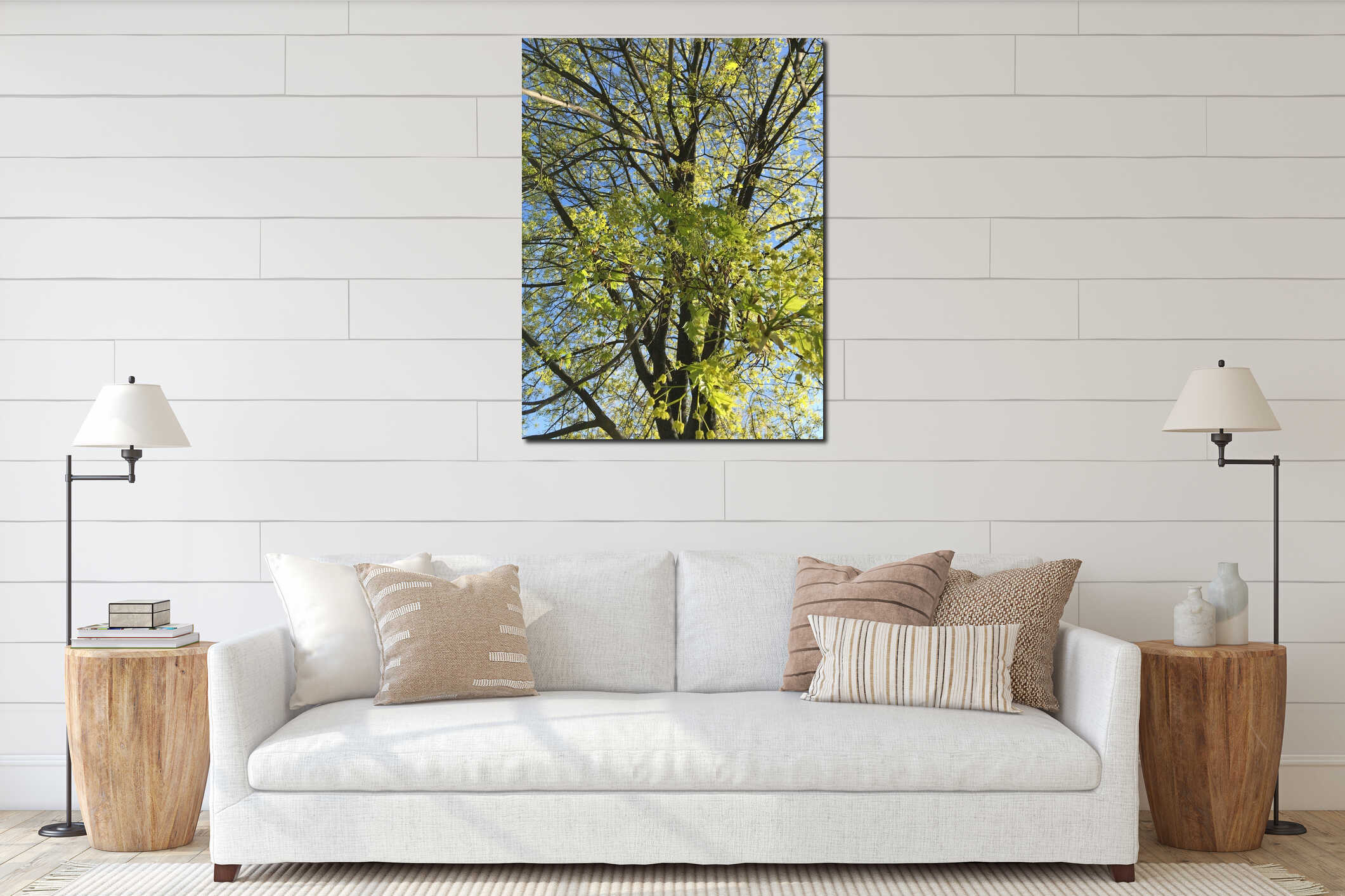 A young maple crown featuring thin branches covered with young fresh spring leaves against the blue sky in the background interior mockup