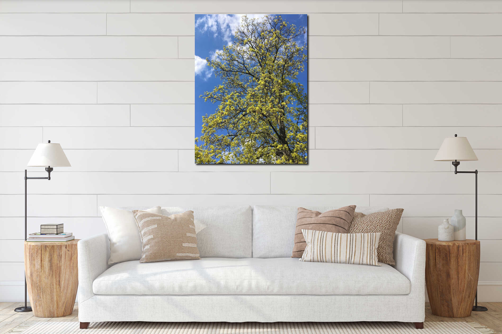 A young maple crown featuring thin branches covered with young fresh spring leaves against the blue sky in the background interior mockup