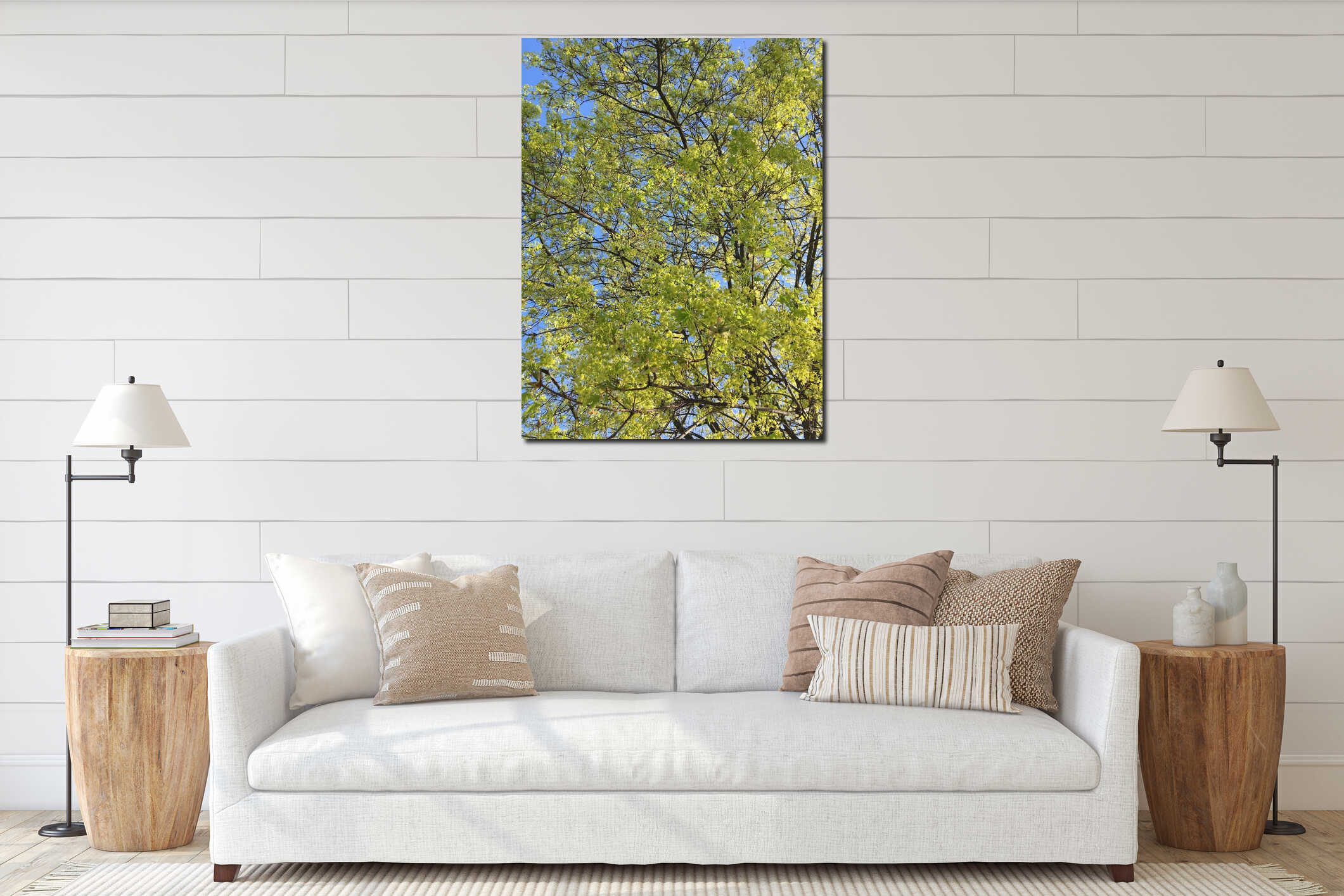 A young maple crown featuring thin branches covered with young fresh spring leaves against the blue sky in the background interior mockup