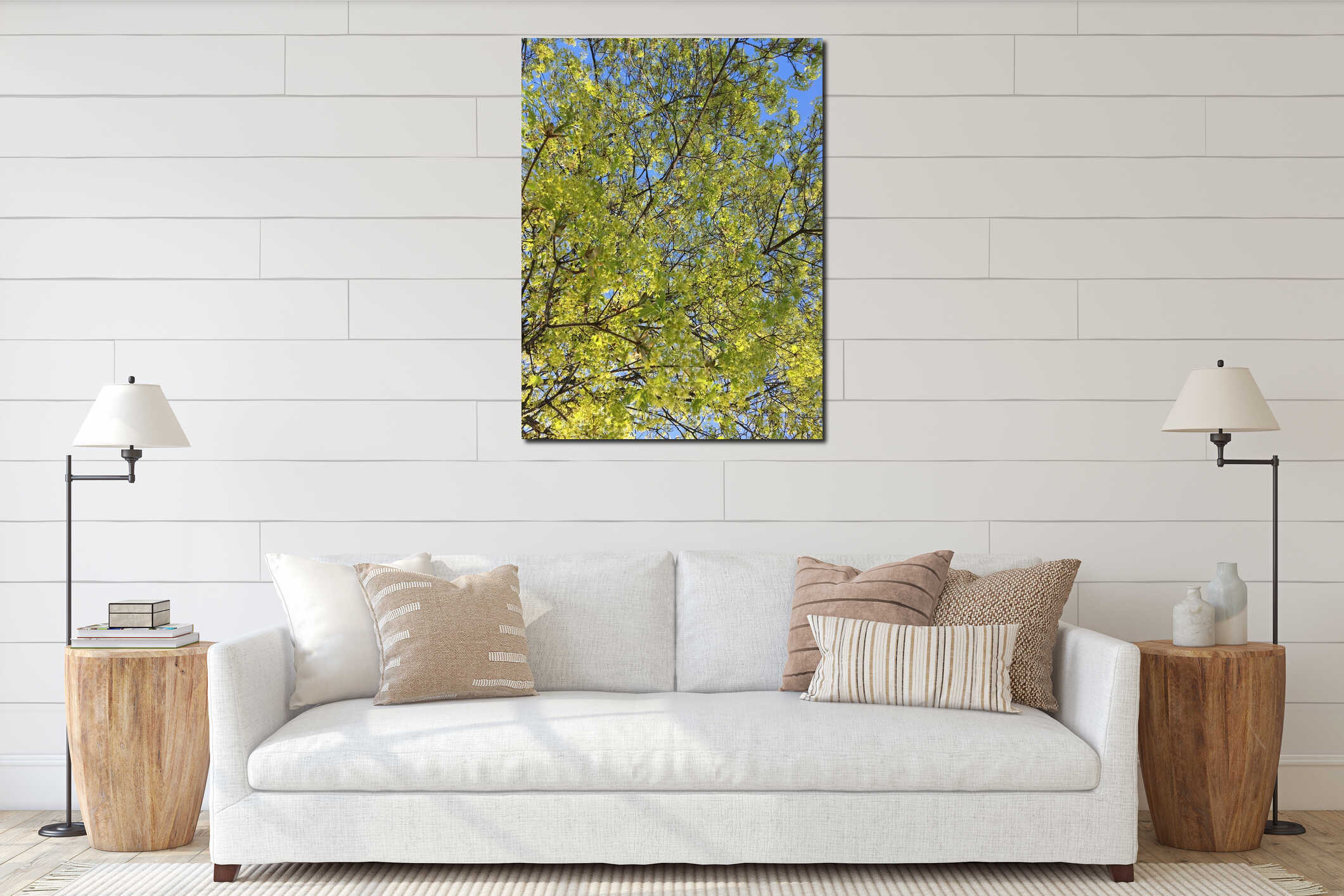 A young maple crown featuring thin branches covered with young fresh spring leaves against the blue sky in the background interior mockup