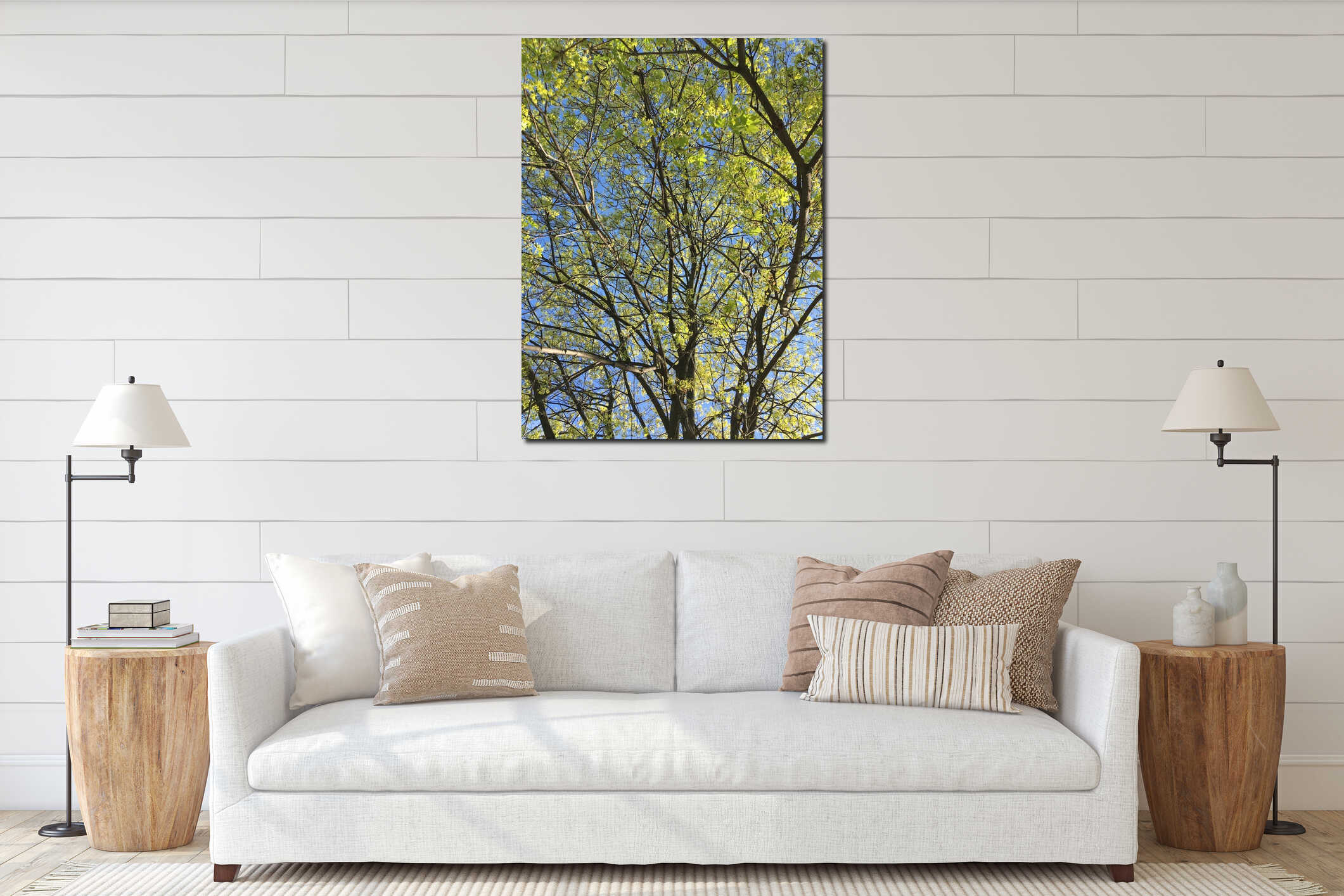 A young maple crown featuring thin branches covered with young fresh spring leaves against the blue sky in the background interior mockup
