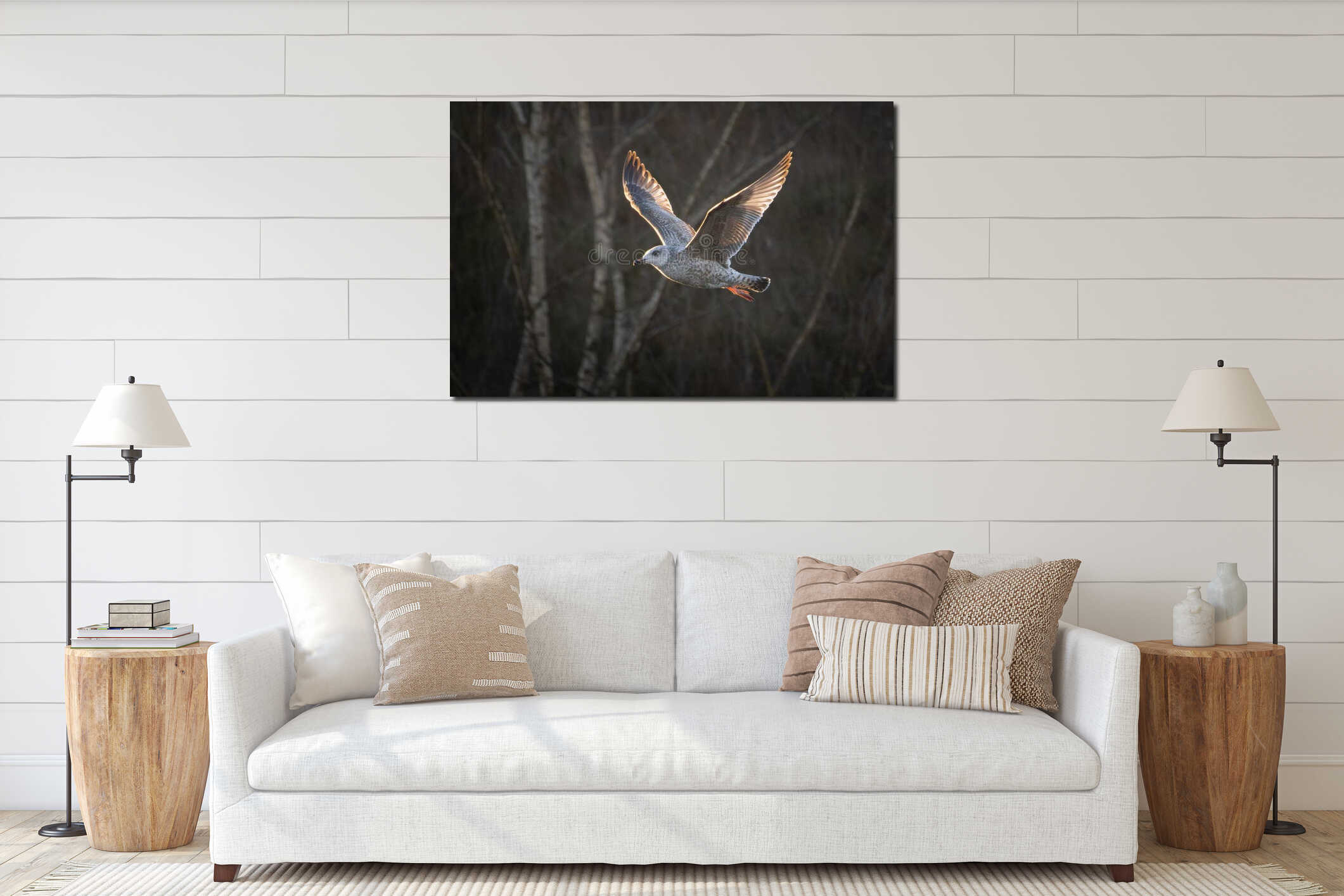 Young Seagull Flying Autumn interior mockup