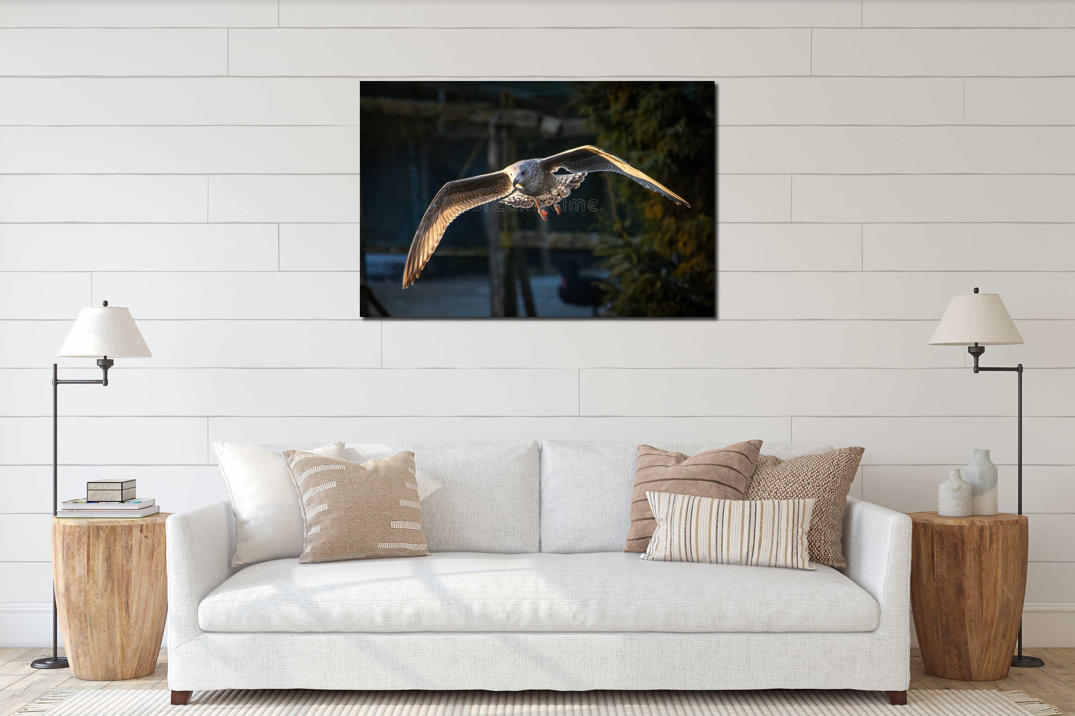 Young Seagull Flying Autumn interior mockup
