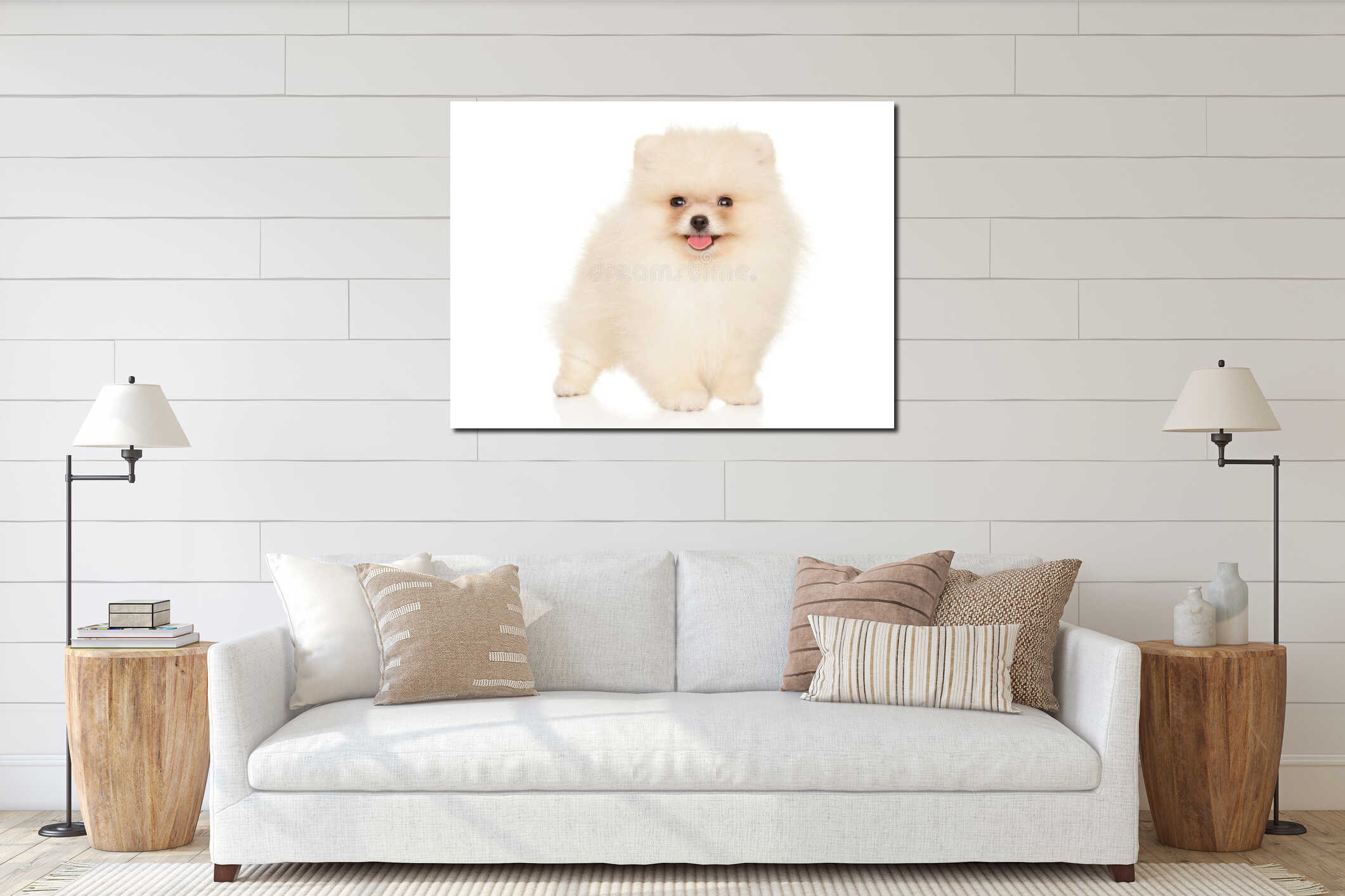 Fluffy Pomeranian puppy smiling and standing proud interior mockup