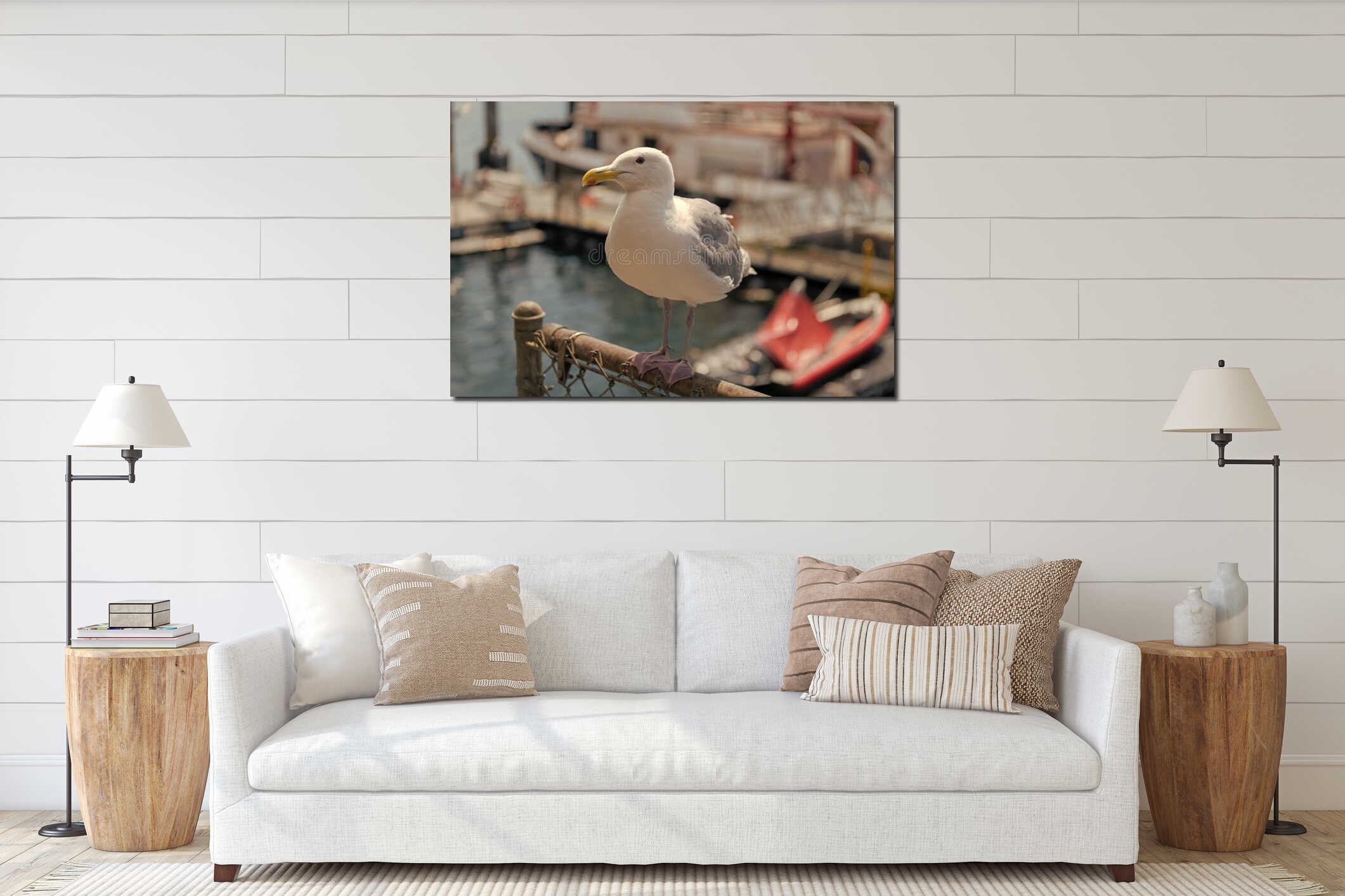 Seagull sitting outdoor. A lonely seagull at the sea. Seagull near water. Sea gull bird. Fauna and nature. Seagull bird observing interior mockup