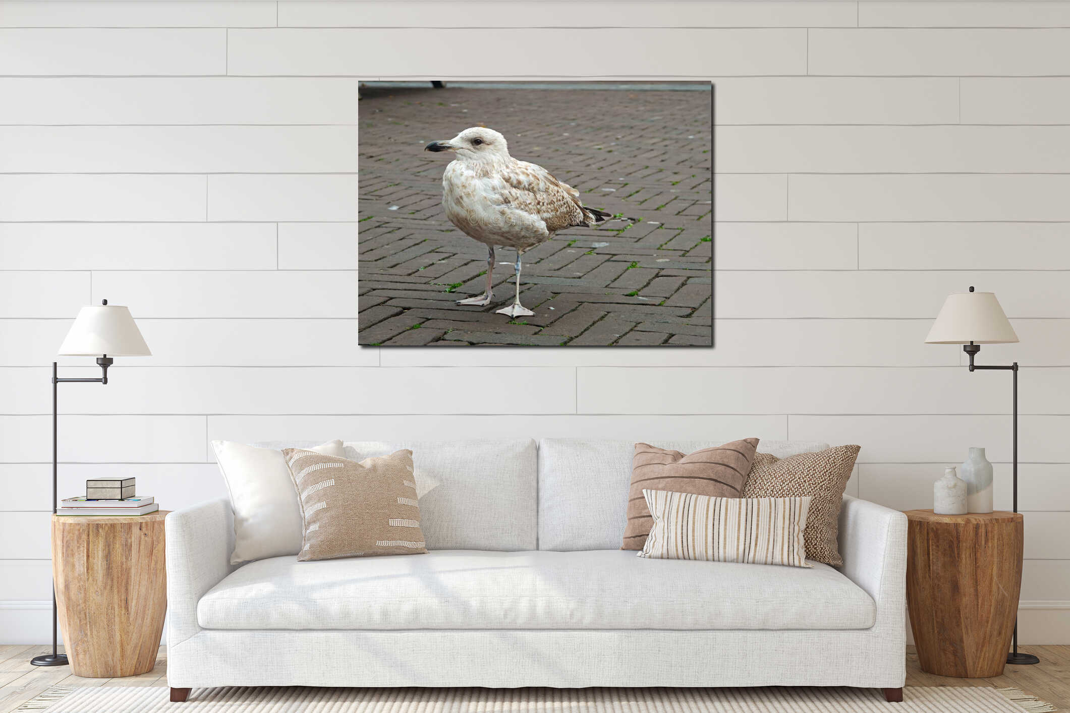 Seagull standing on a brick walkway in a coastal town during a cloudy afternoon interior mockup