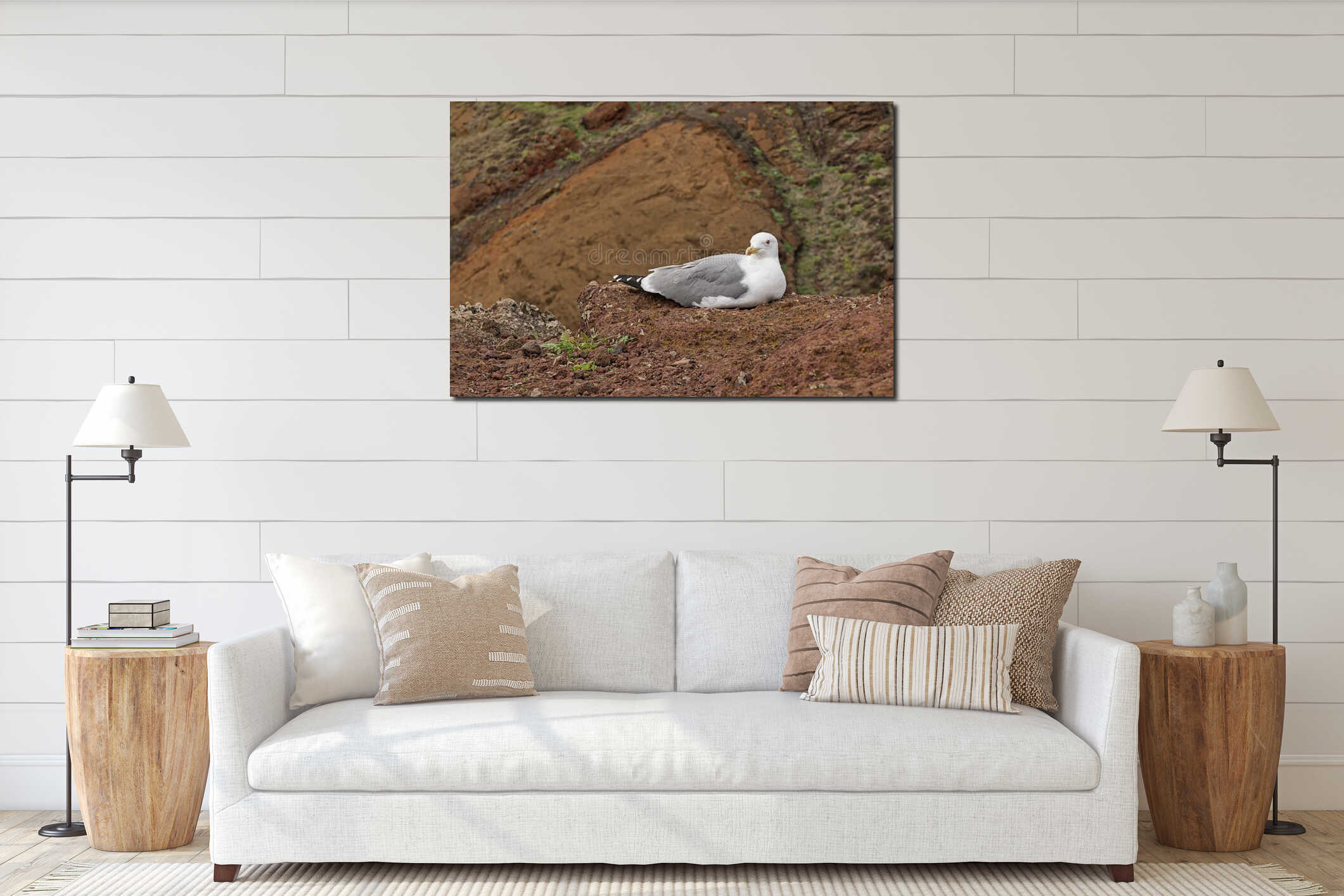 Seagull resting on rocky ground in volcanic landscape on Madeira interior mockup