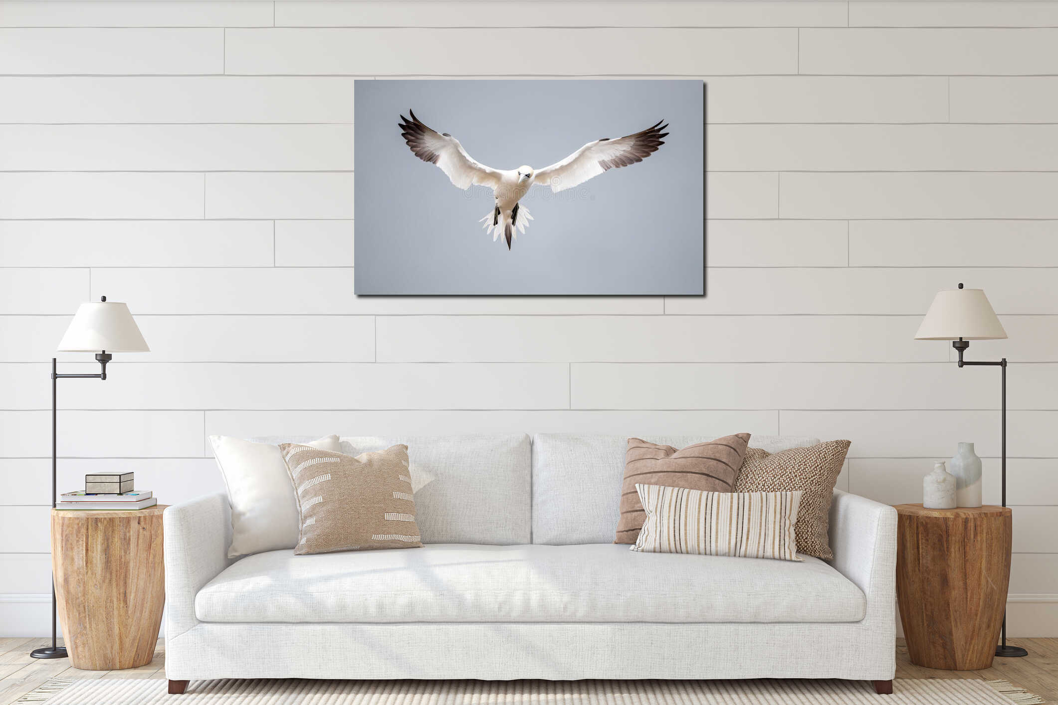 Northern Gannet seabird in flight wings wide spread against grey sky interior mockup