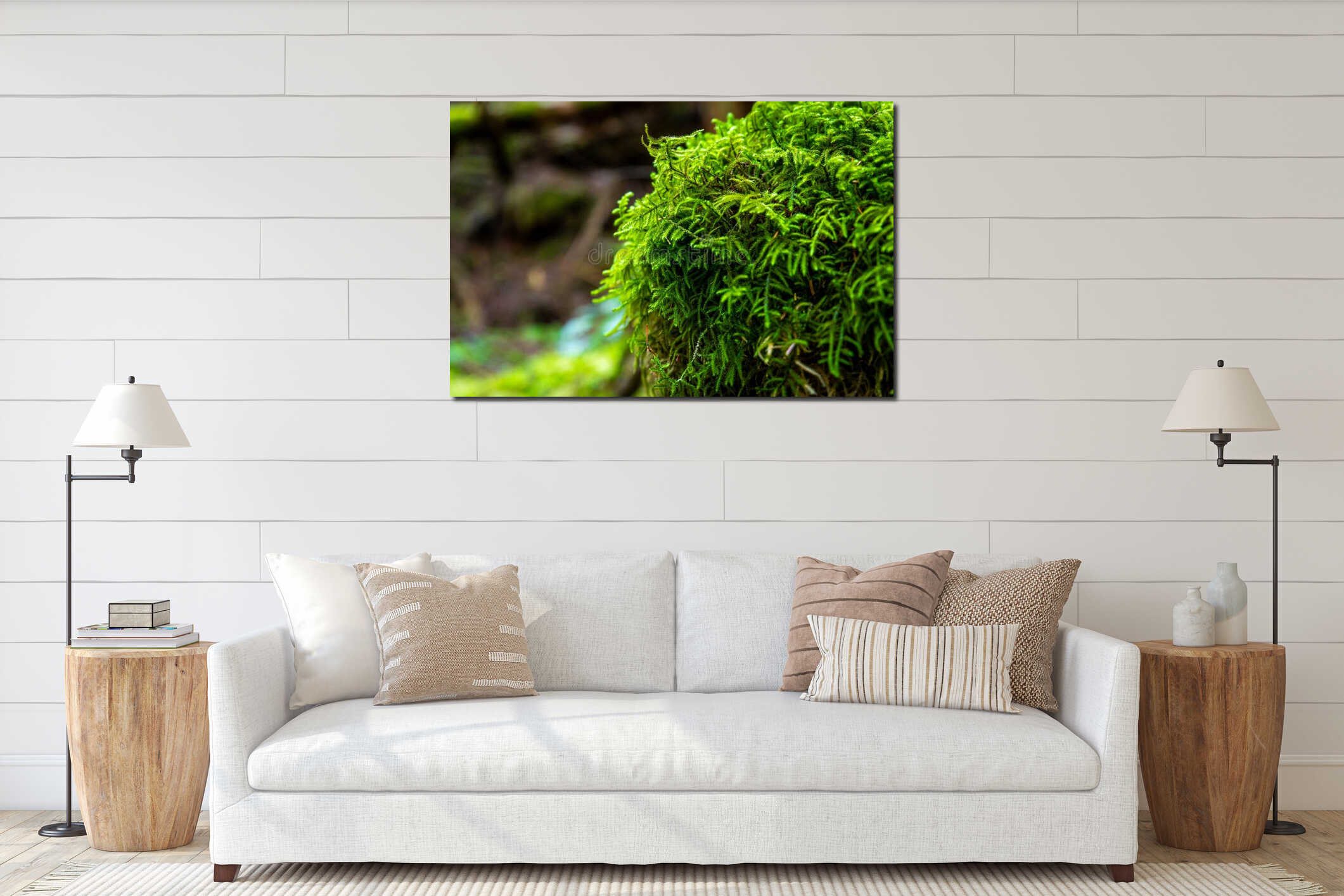 Close-Up of Green Emerald Moss of Healthy Forest interior mockup