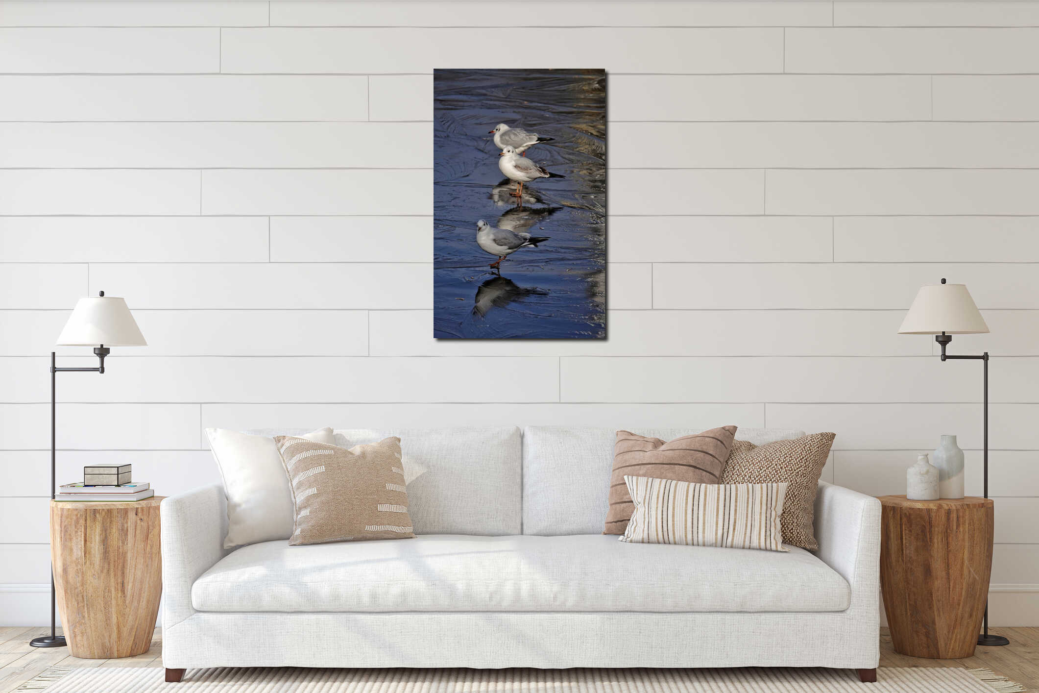 Yellow-legged gulls at Morarilor Lake in Bucharest interior mockup