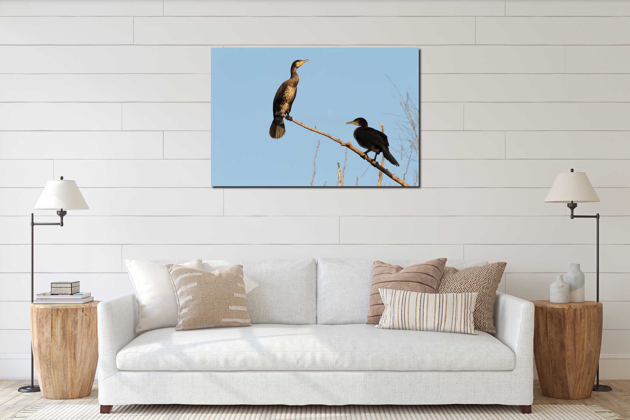 Two great cormorants on branch interior mockup