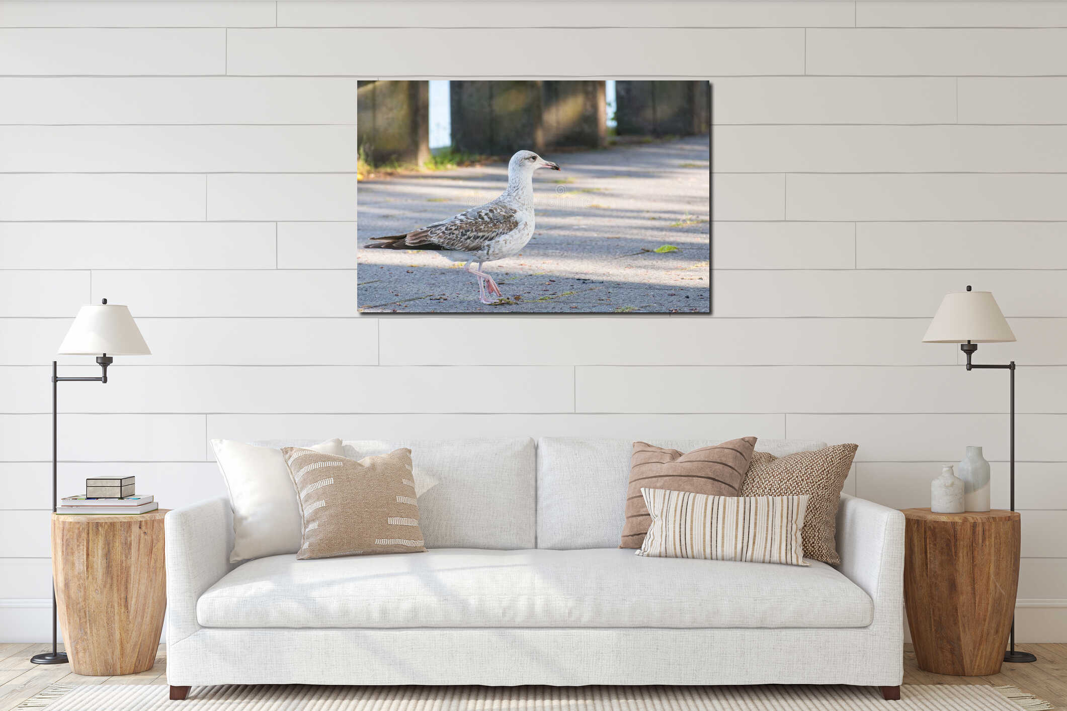 Juvenile yellow legged gull walking in a park interior mockup