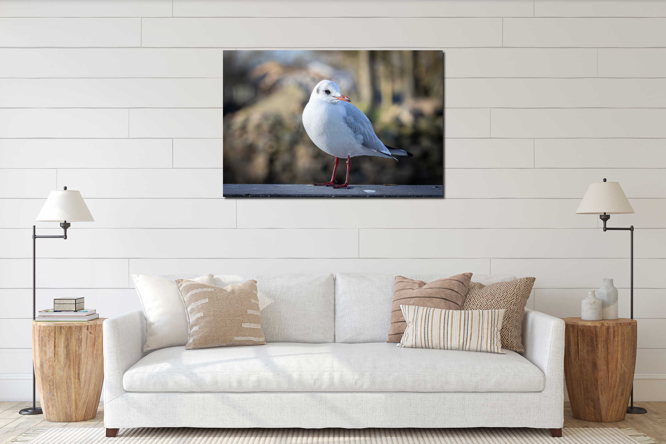 Elegant Black-headed Gull Portrait interior mockup