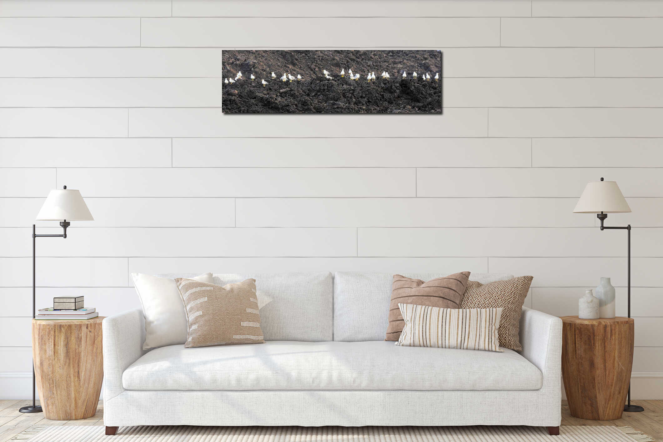 Seagulls sitting on volcanic stones interior mockup