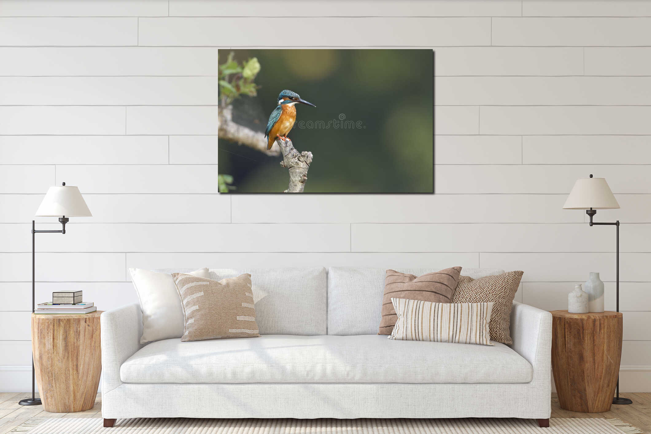 Common kingfisher bird in Nepal interior mockup