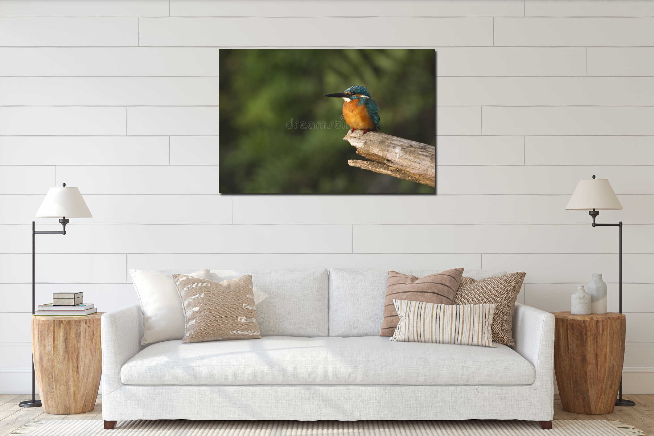 Common kingfisher bird in Nepal interior mockup