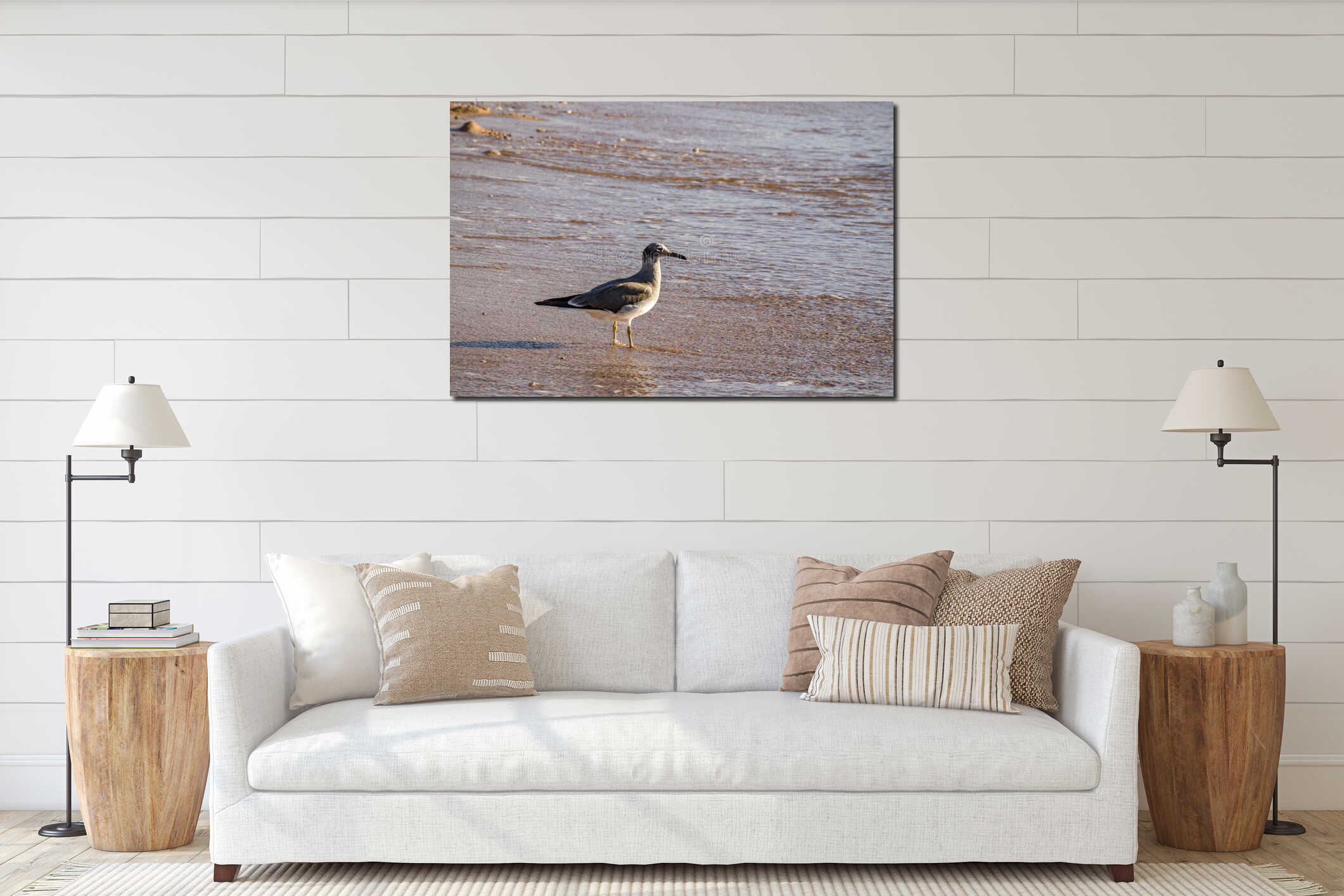 Lone seagull standing in shallow water by the shore, soft light and gentle ripples. Concept of solitude interior mockup