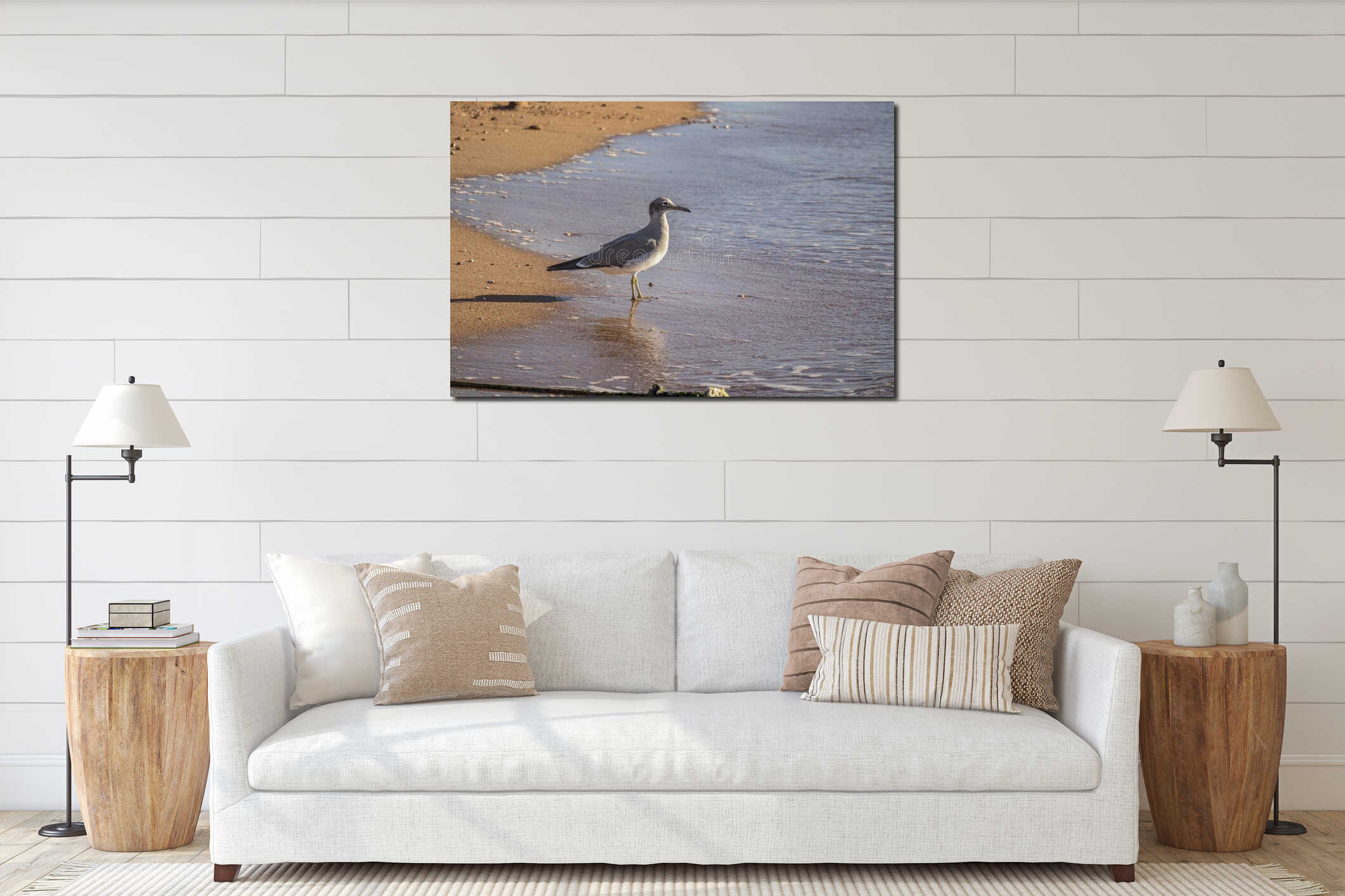 Seagull standing in shallow water near sandy beach with reflection on wet shore. Calm coastal wildlife scene interior mockup