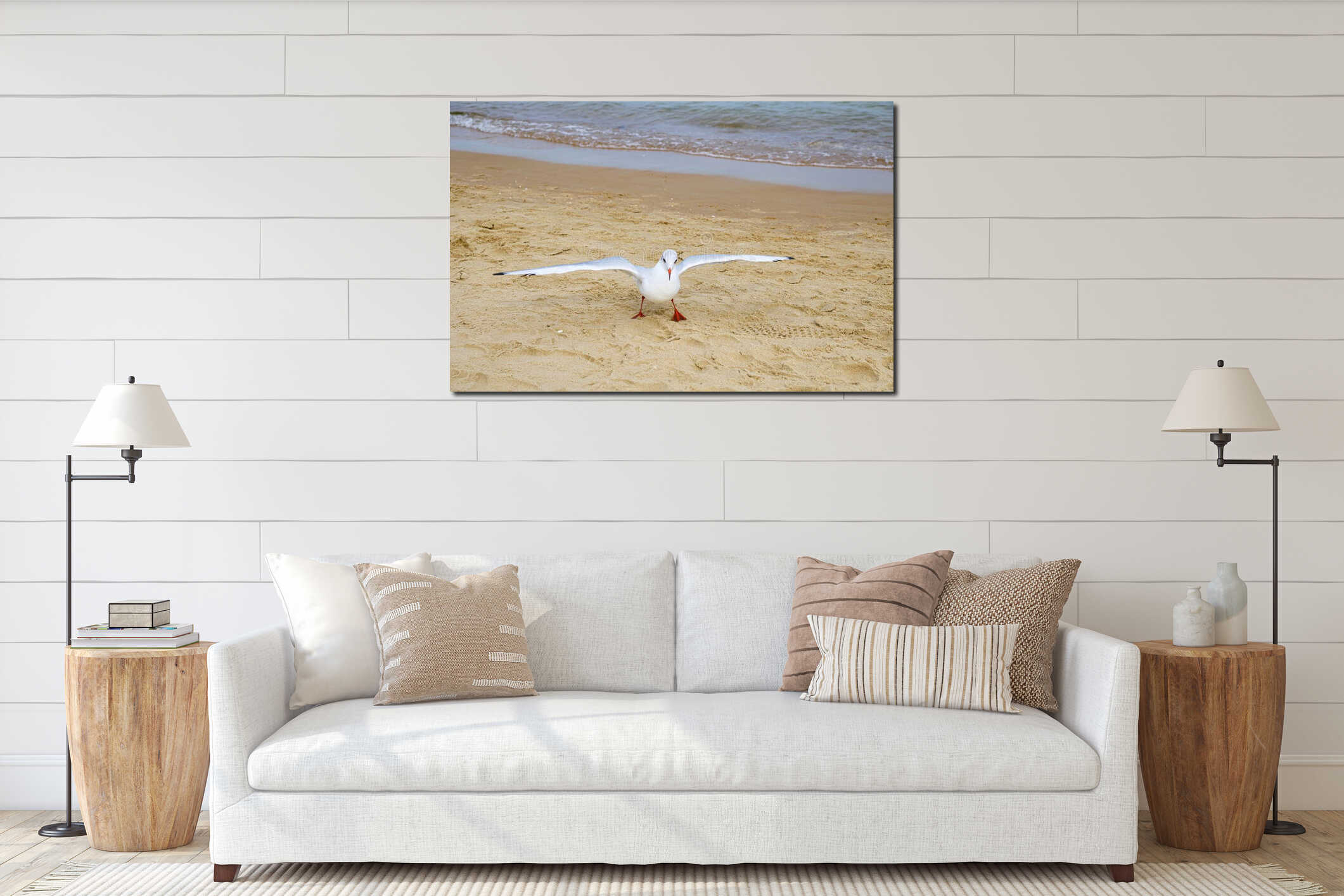 Seagull standing on a sandy beach with wings fully spread. Coastal wildlife scene captured near the shoreline with sea interior mockup