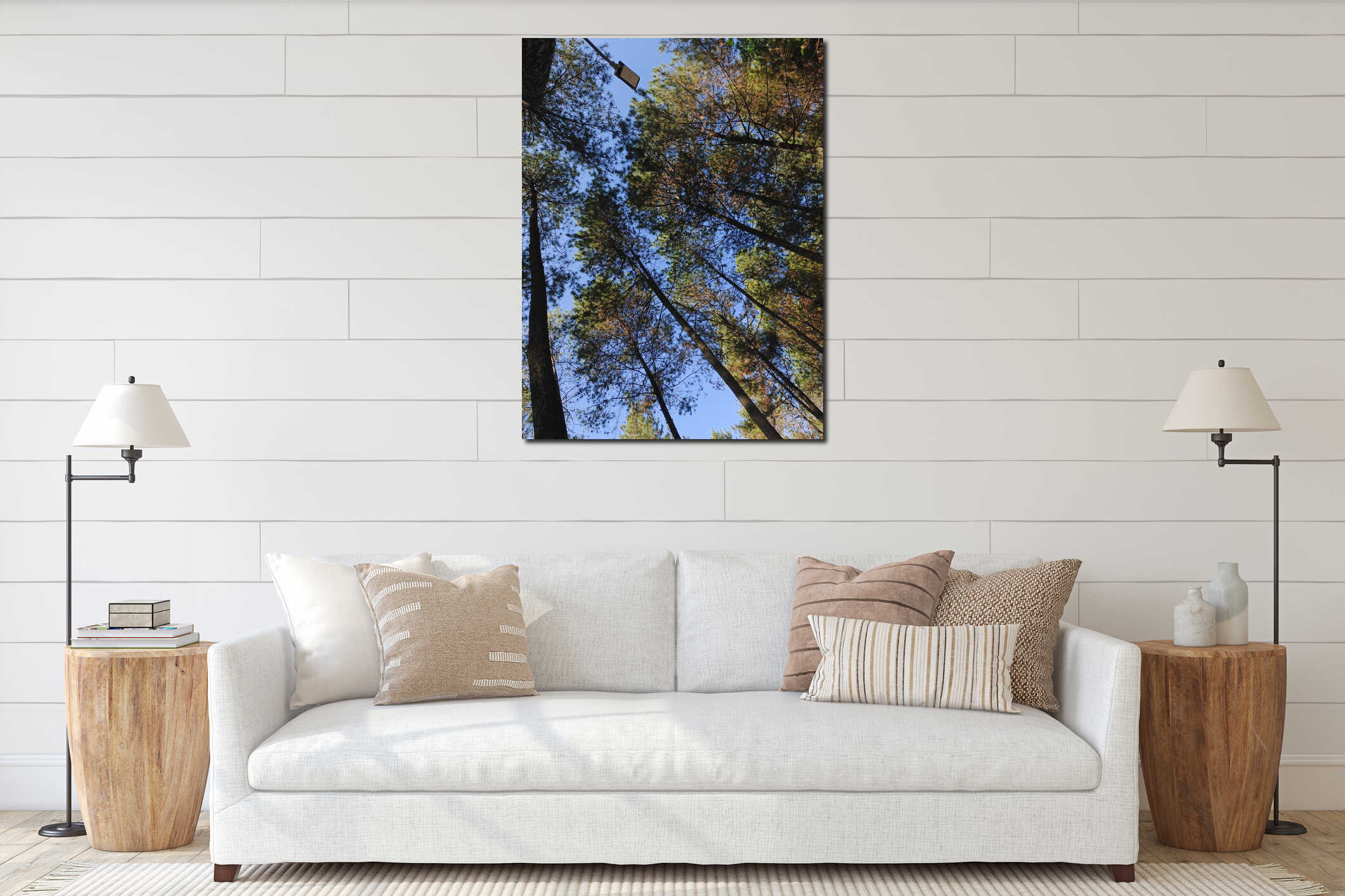 Stunning pine forest canopy. High-quality nature stock photo for commercial projects. Buy now for professional CEO-level branding. interior mockup