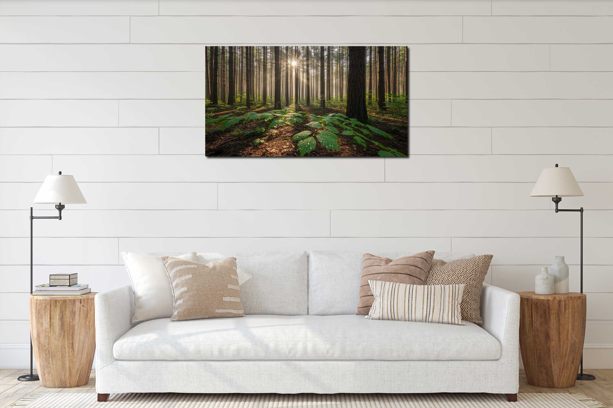 Sunbeams Streaming Through a Pine Forest Canopy onto a Forest Floor with Dewy Leaves woods interior mockup