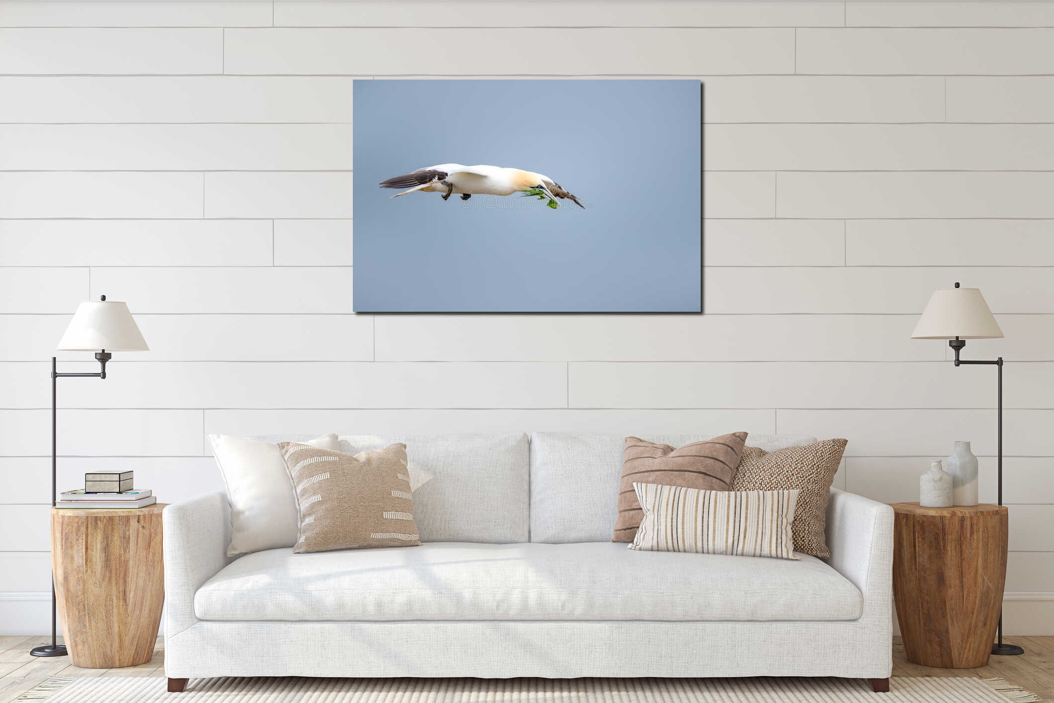 Northern Gannet seabird in flight with nesting material in beak interior mockup
