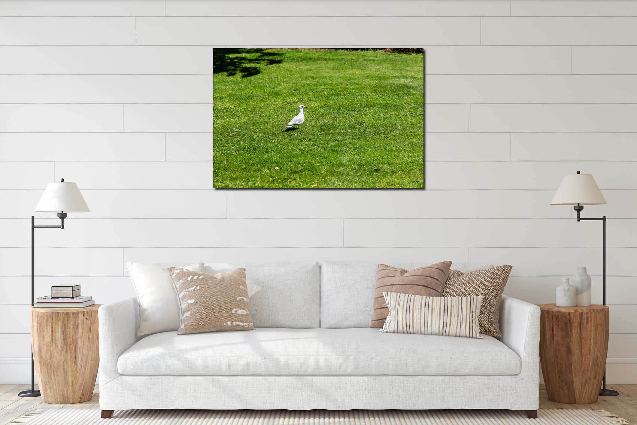 Solitary White Seagull Standing Green Lawn interior mockup