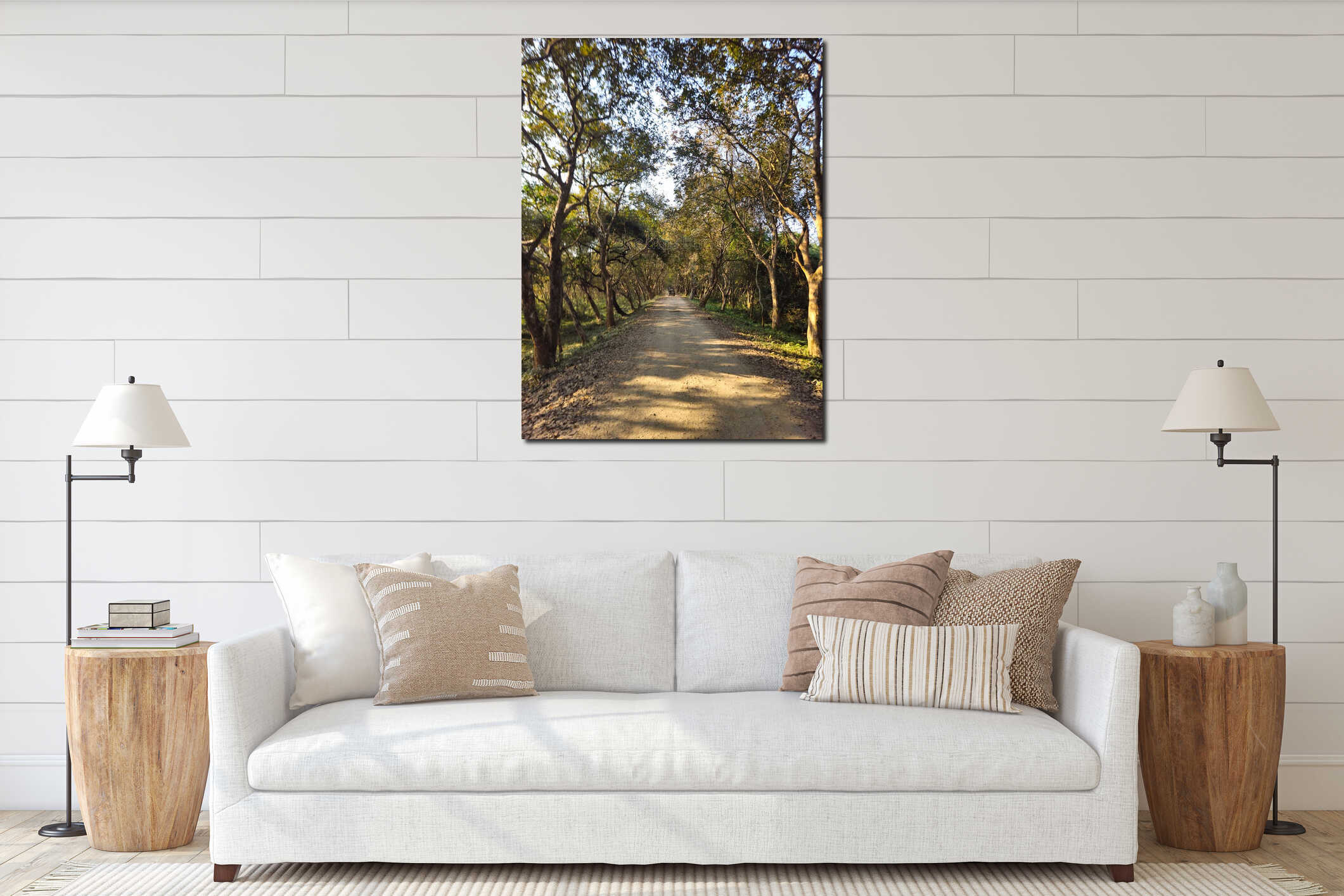 Vertical high angle point of view shot of dry unpaved dusty forest track inside Kaziranga National Park Assam interior mockup