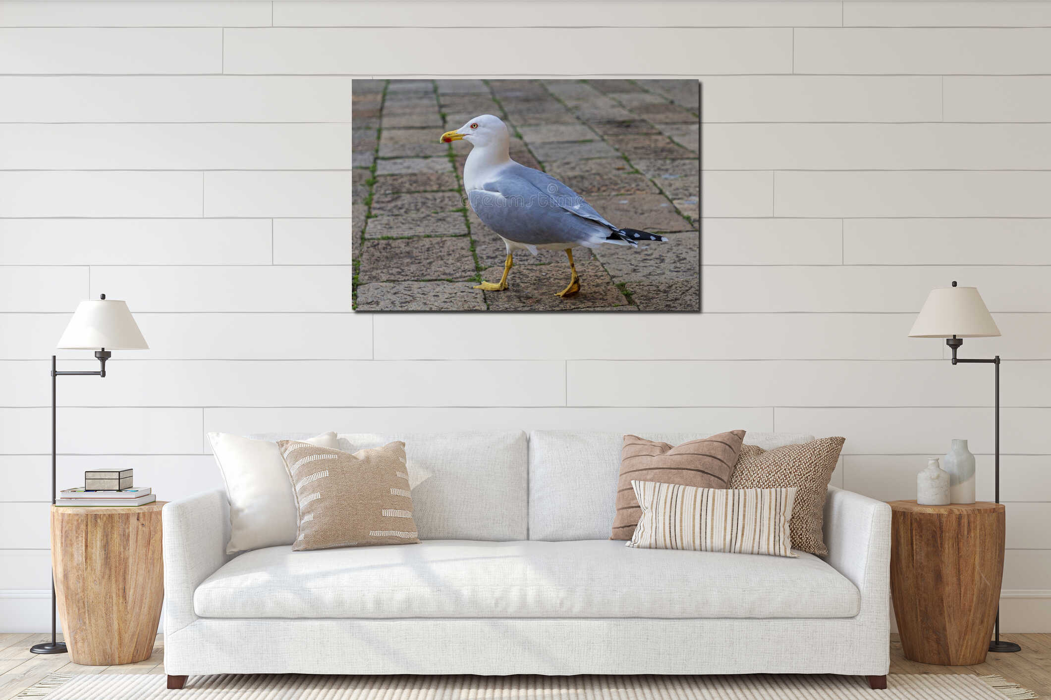 A seagull walking on the streets of Tromso city interior mockup