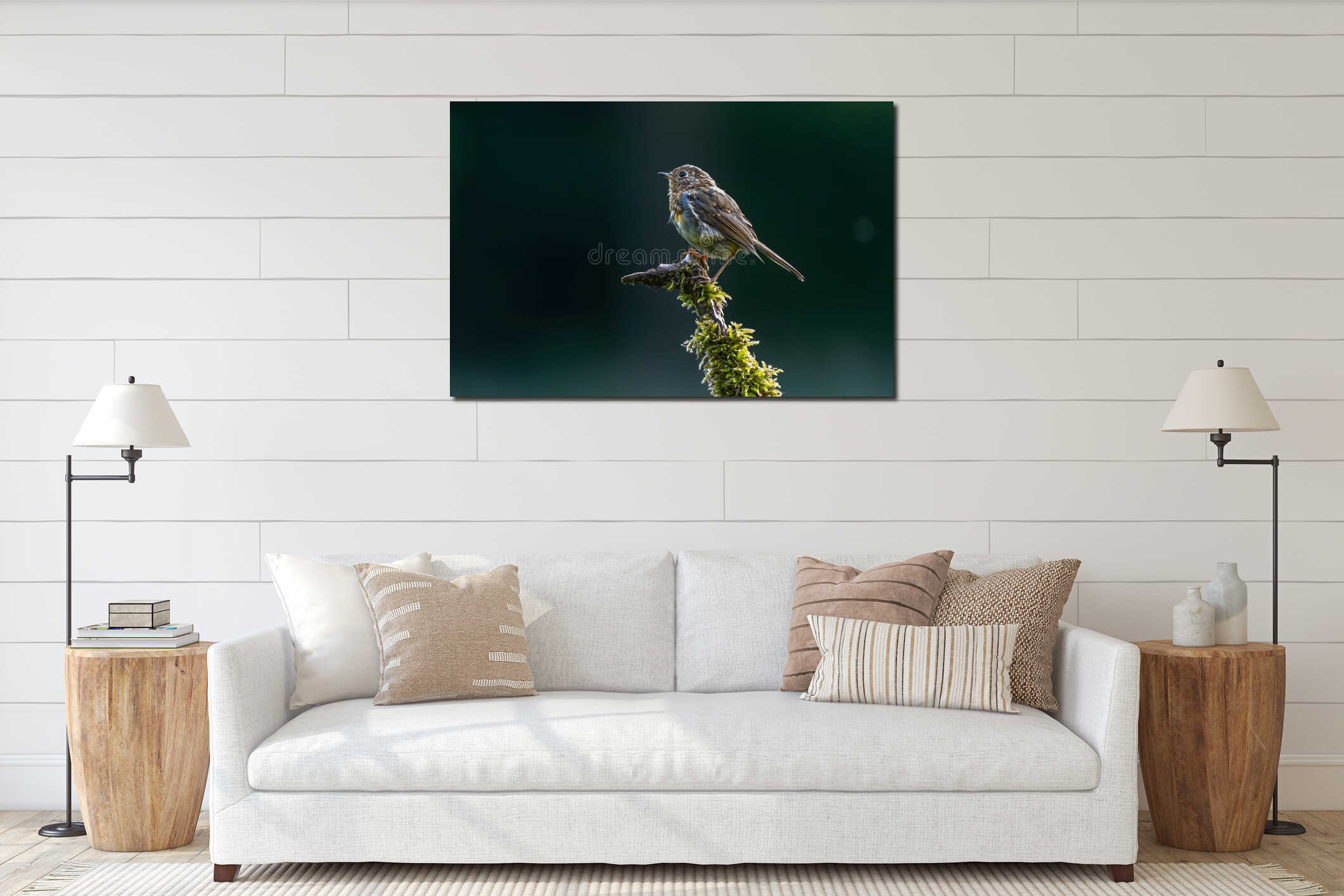 Small brown bird perched on mossy branch in forest interior mockup