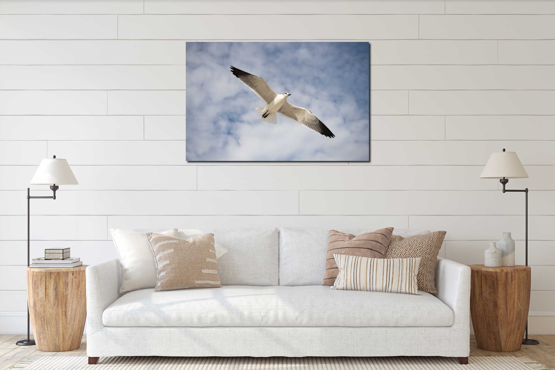 Seagull sitting outdoor. Laughing seagull at the sea. Seagull near water. Sea gull bird. Fauna and nature. Seagull bird. Sea gull interior mockup