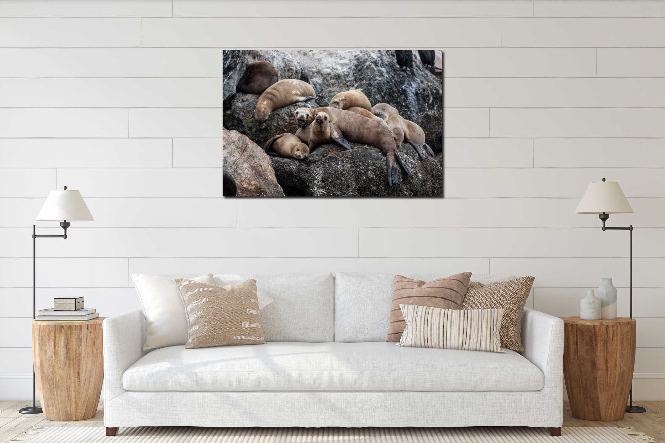 California Sea Lions interior mockup