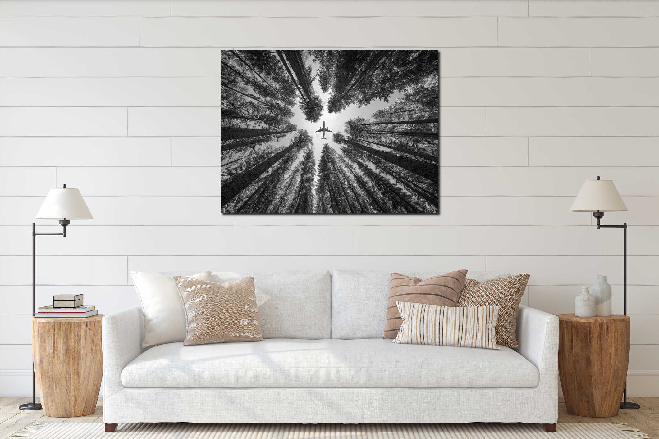 Black and white hyper-realistic image, low angle shot of a dense pine forest canopy with an airplane in the sky - AI-Generated interior mockup