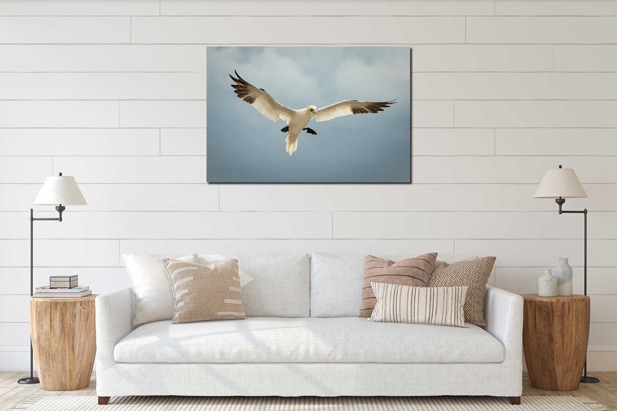 Northern Gannet (Morus bassanus) in Flight interior mockup