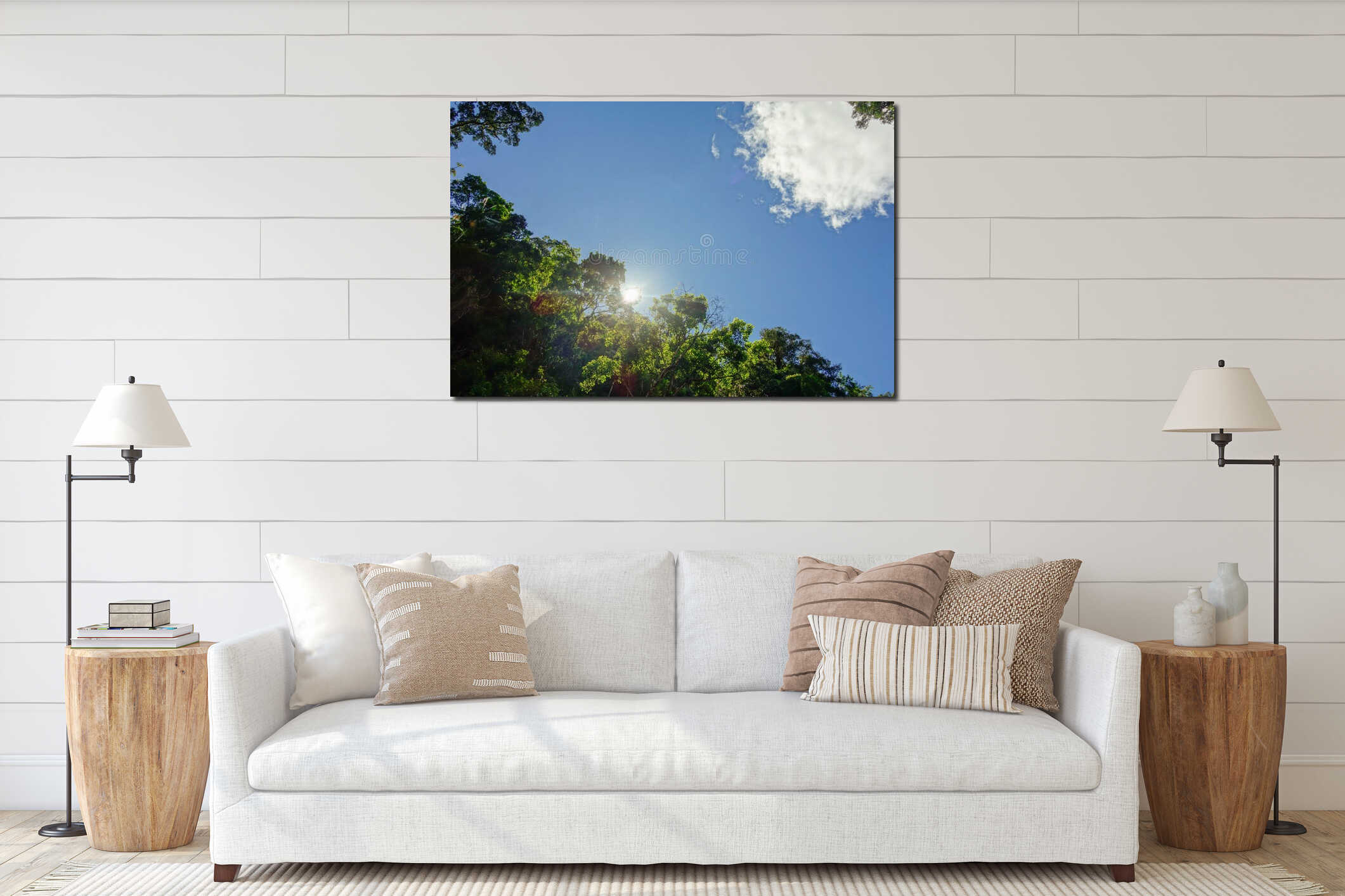 low angle of lush green tropical rainforest in Brazil, blue sky on background interior mockup