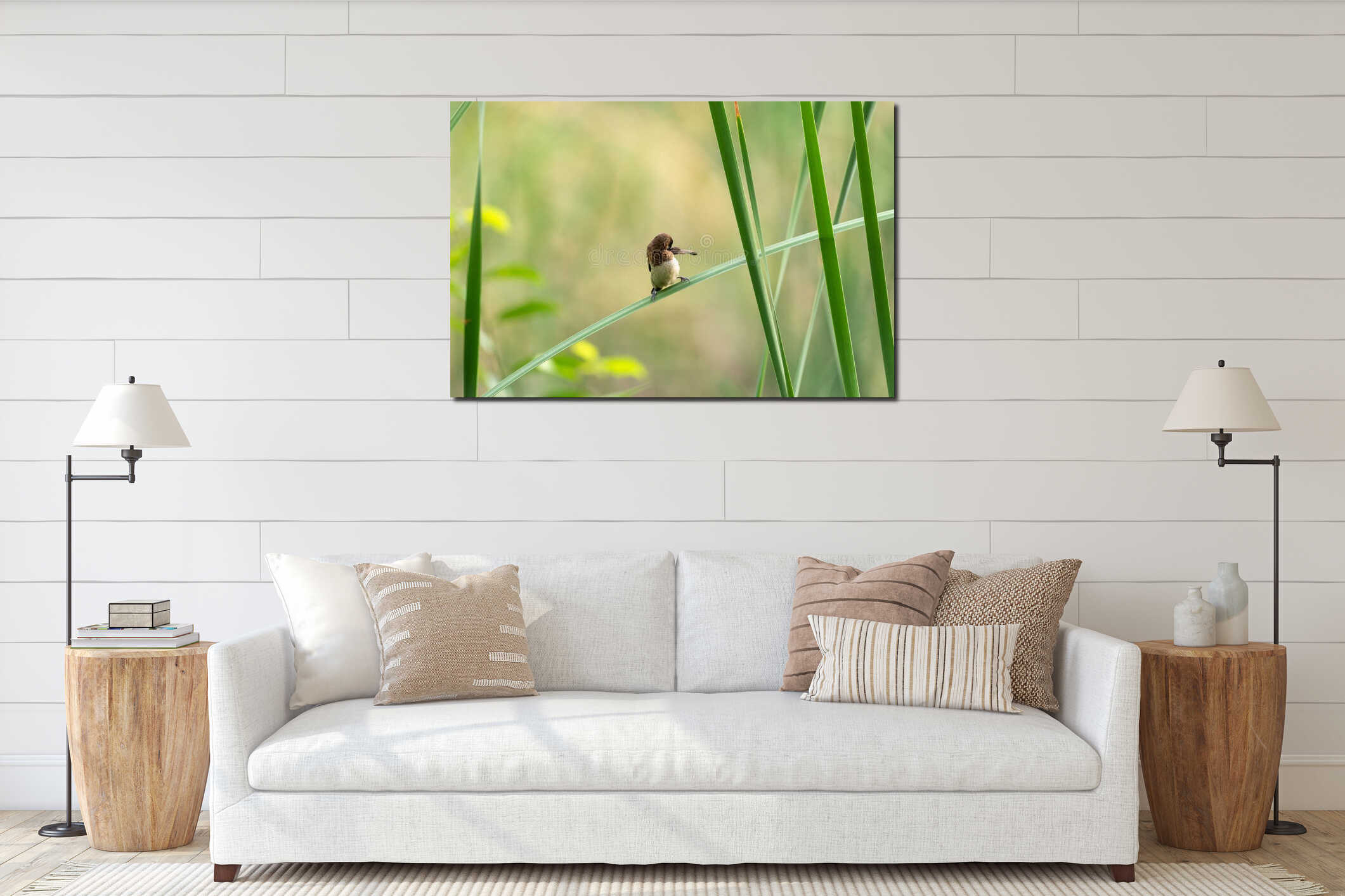 Small brown bird perched on green reed in natural wetland habitat soft background bokeh wildlife nature photography with delicate interior mockup
