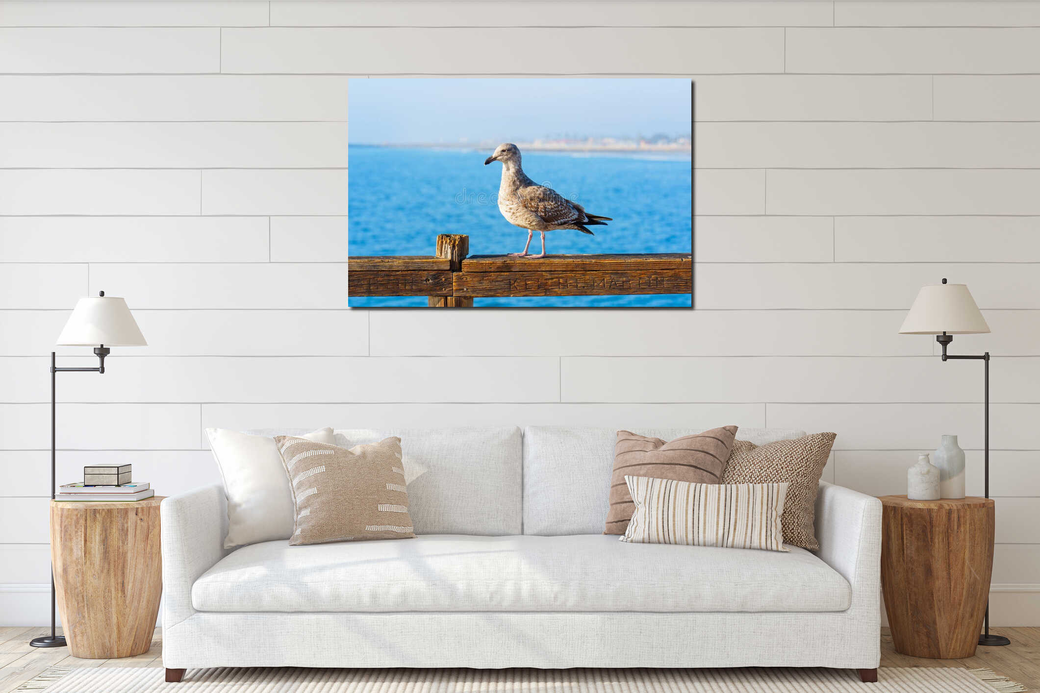 Immature Seagull Perching on Wooden Pier at Oceanside Beach California interior mockup