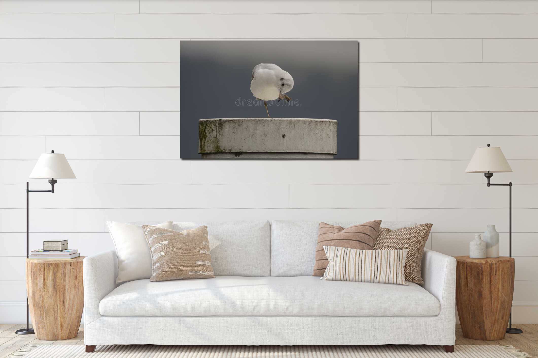 Seagull standing on concrete post cleaning its foot against dark cloudy sky minimalist wildlife scene interior mockup
