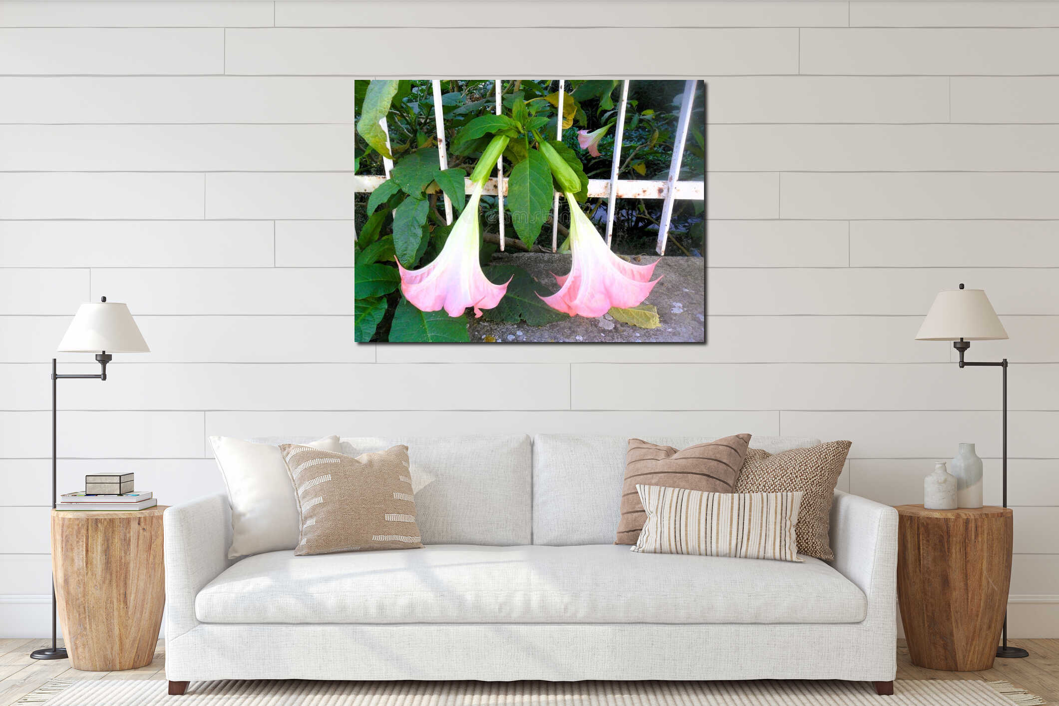 This image shows a close-up of Brugmansia flowers, commonly known as Angel's Trumpets. interior mockup
