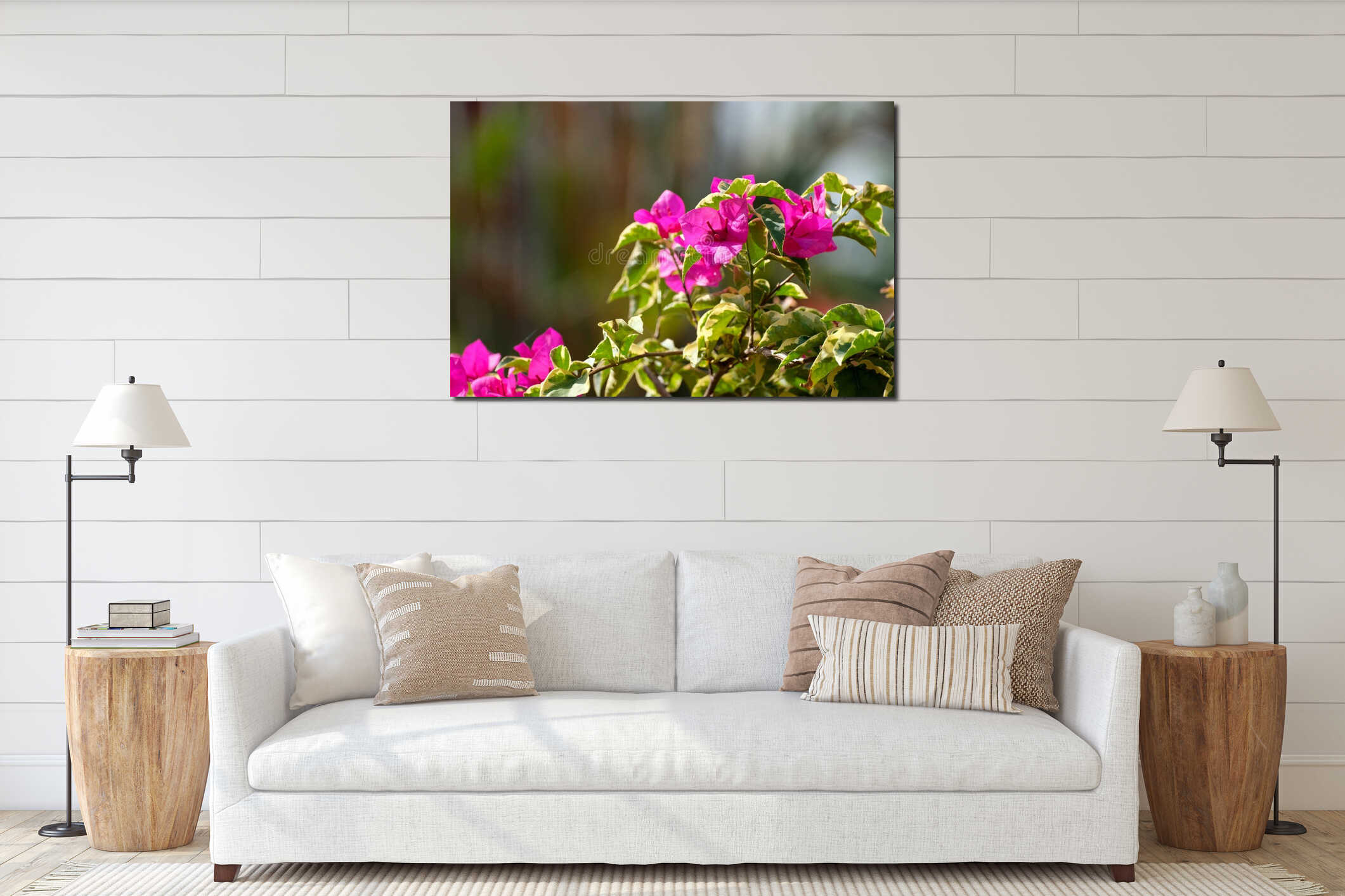 Vibrant pink Bougainvillea flowers in full bloom. interior mockup