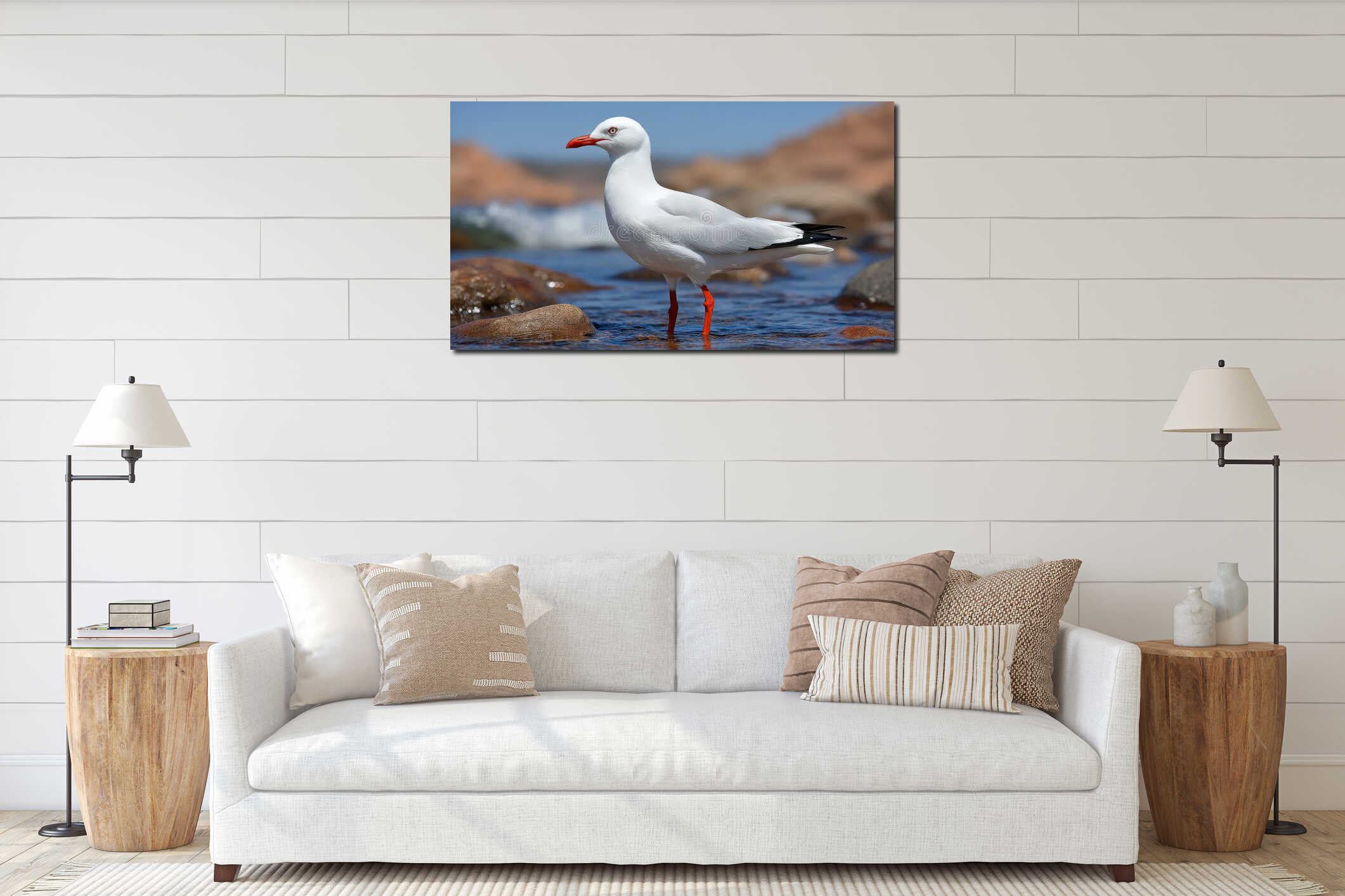 A seagull standing in shallow water near rocks on a sunny day interior mockup