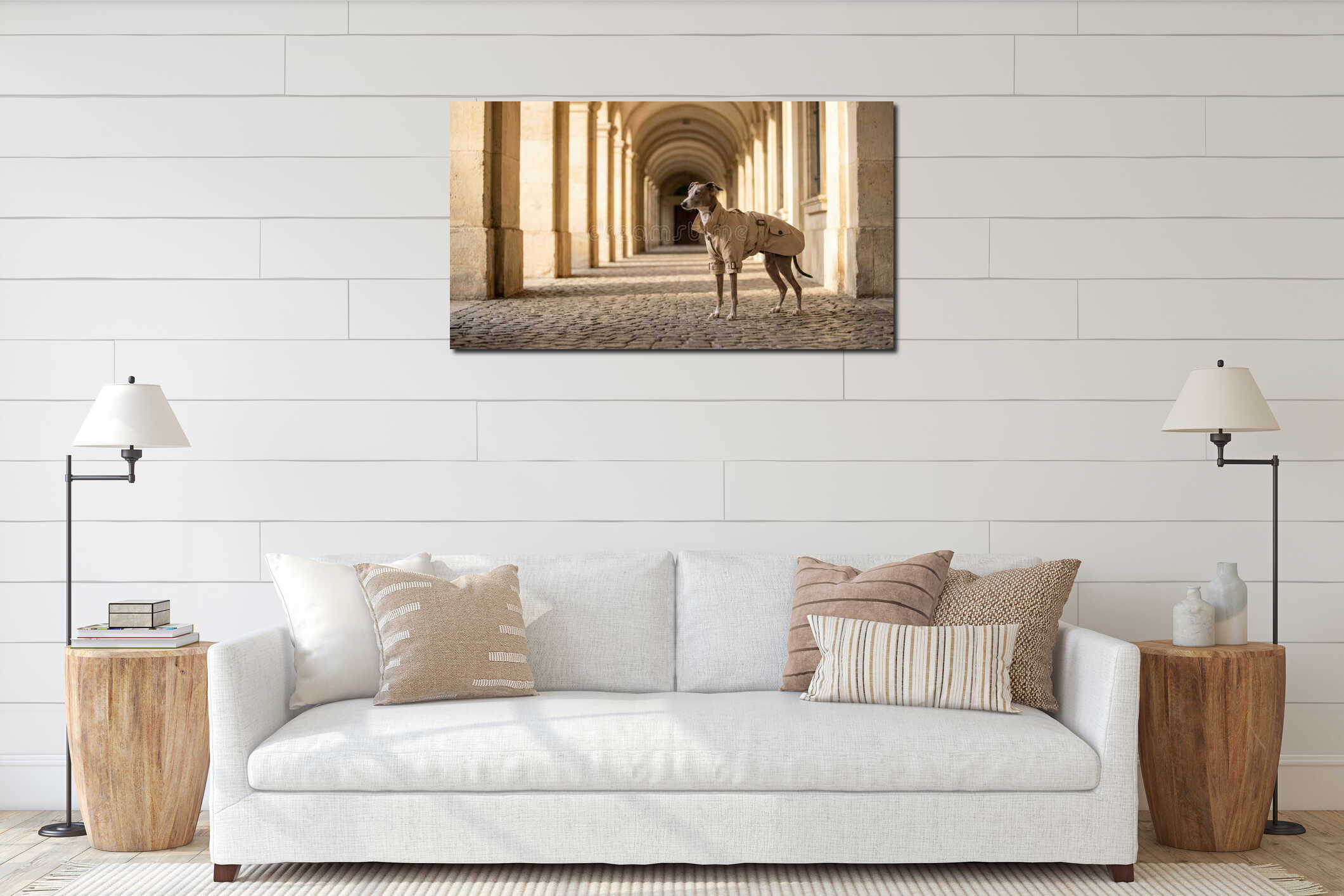 Elegant greyhound in trench coat stands in sunlit architectural corridor with stone archways and cobblestones interior mockup