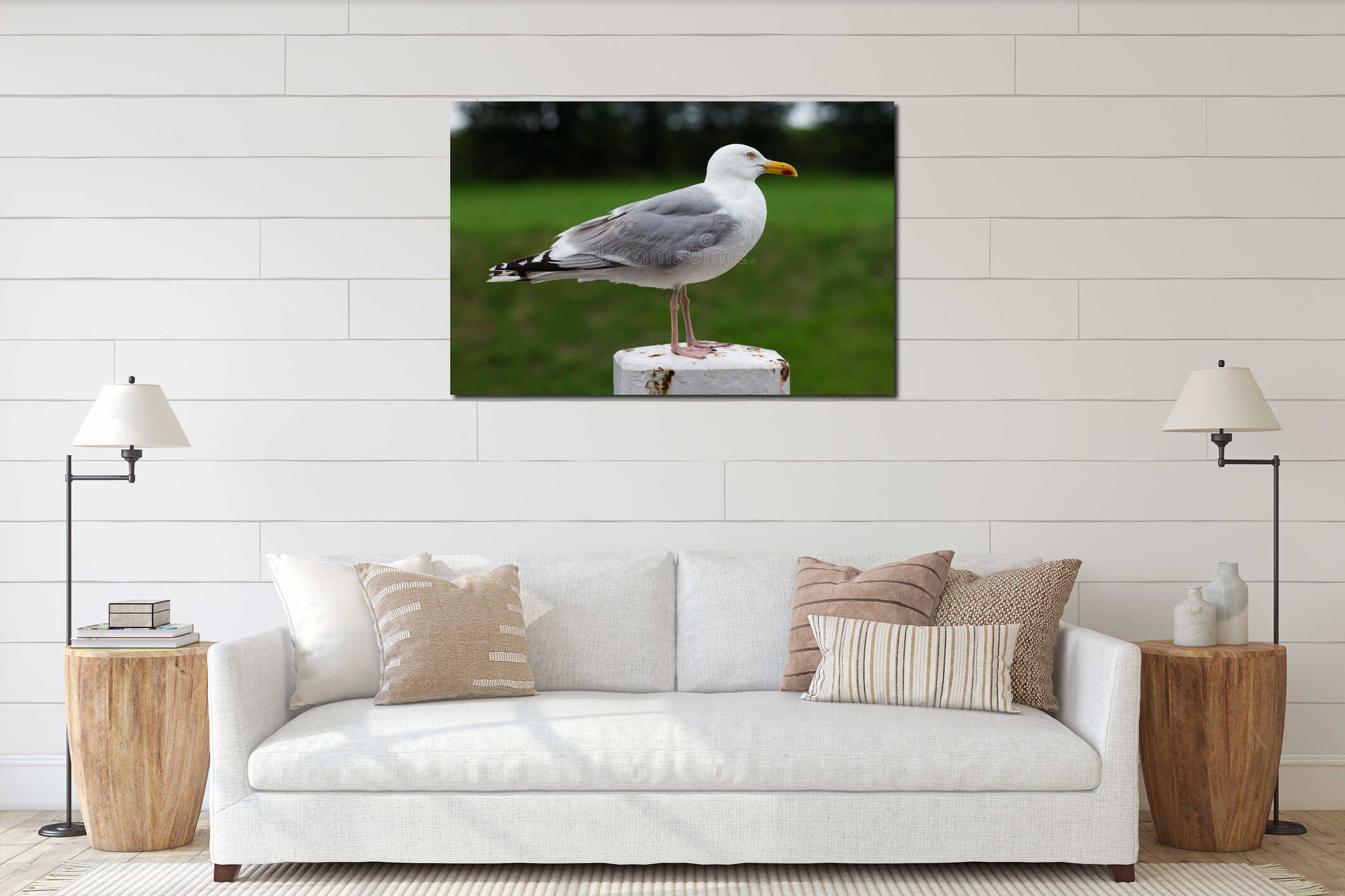 Seagull sitting on a pole interior mockup