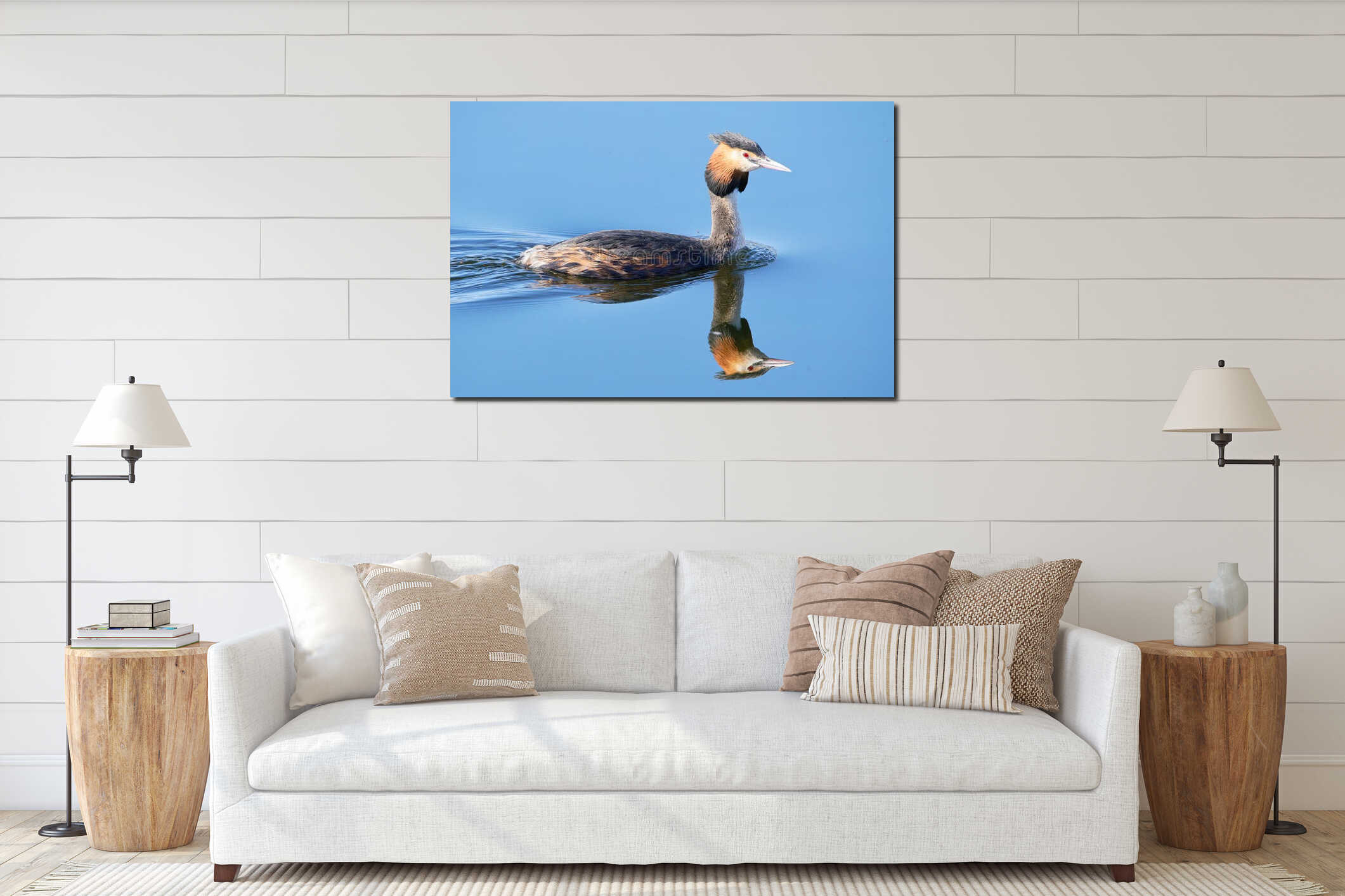 Great Crested Grebe - perfect reflection in water interior mockup
