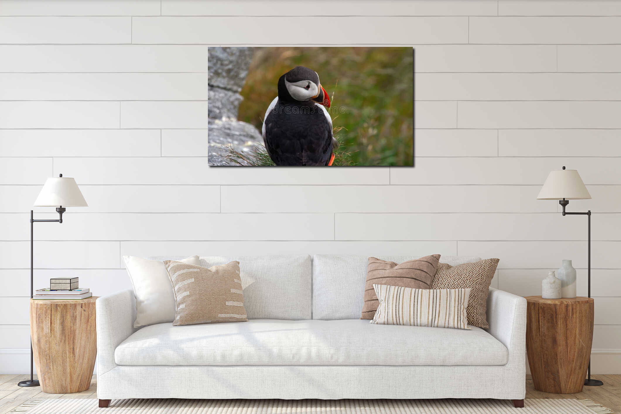 Atlantic puffin on a rocky cliff. Seabird with bright orange beak and feet interior mockup