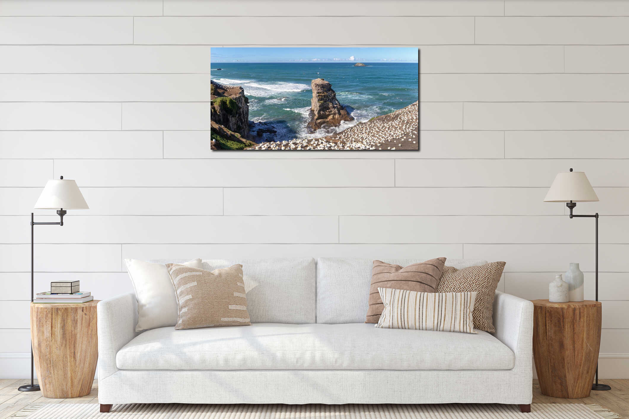 Gannet colony at Muriwai beach, New Zealand interior mockup