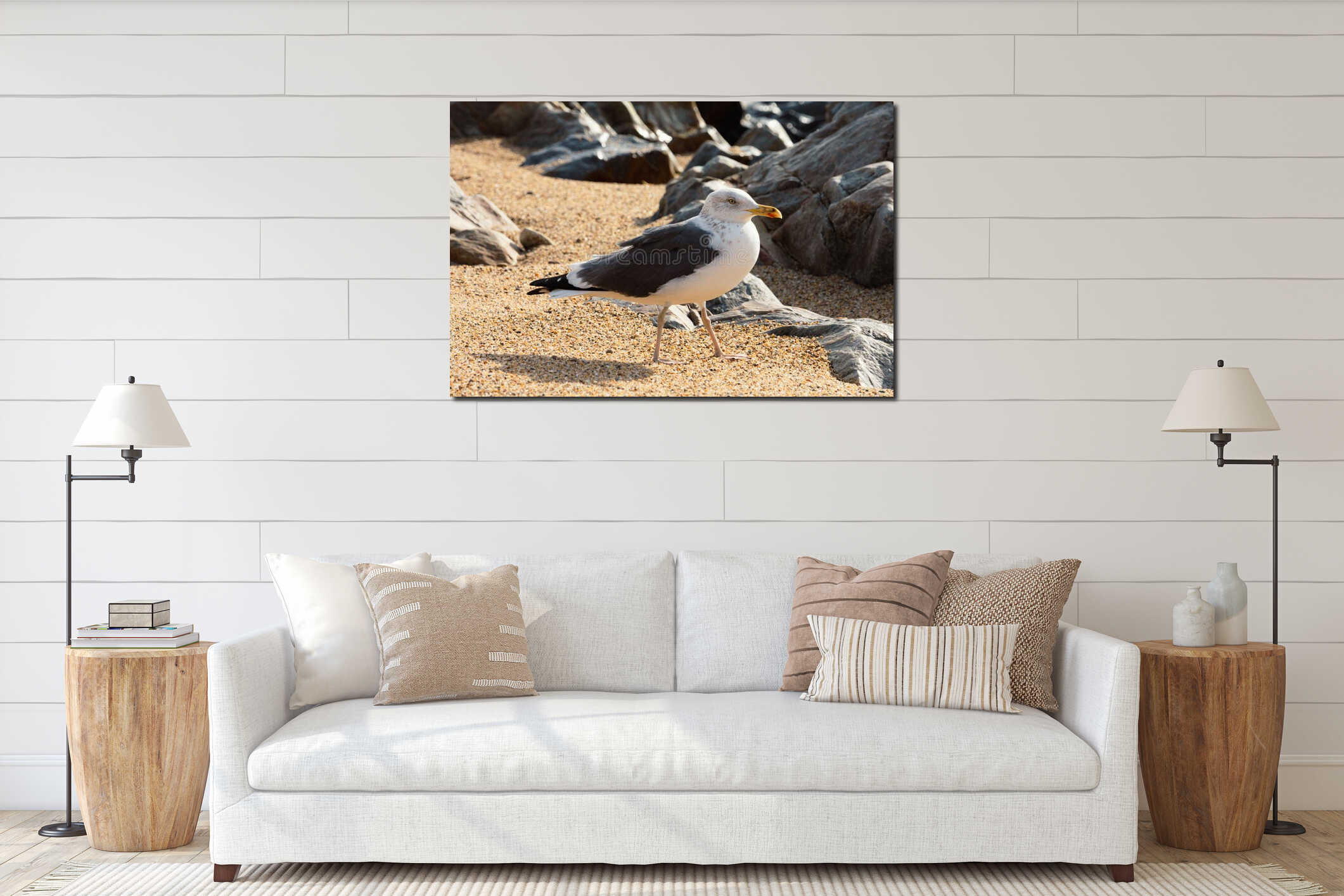 Seagull Standing on Sandy Beach Among Coastal Rocks interior mockup